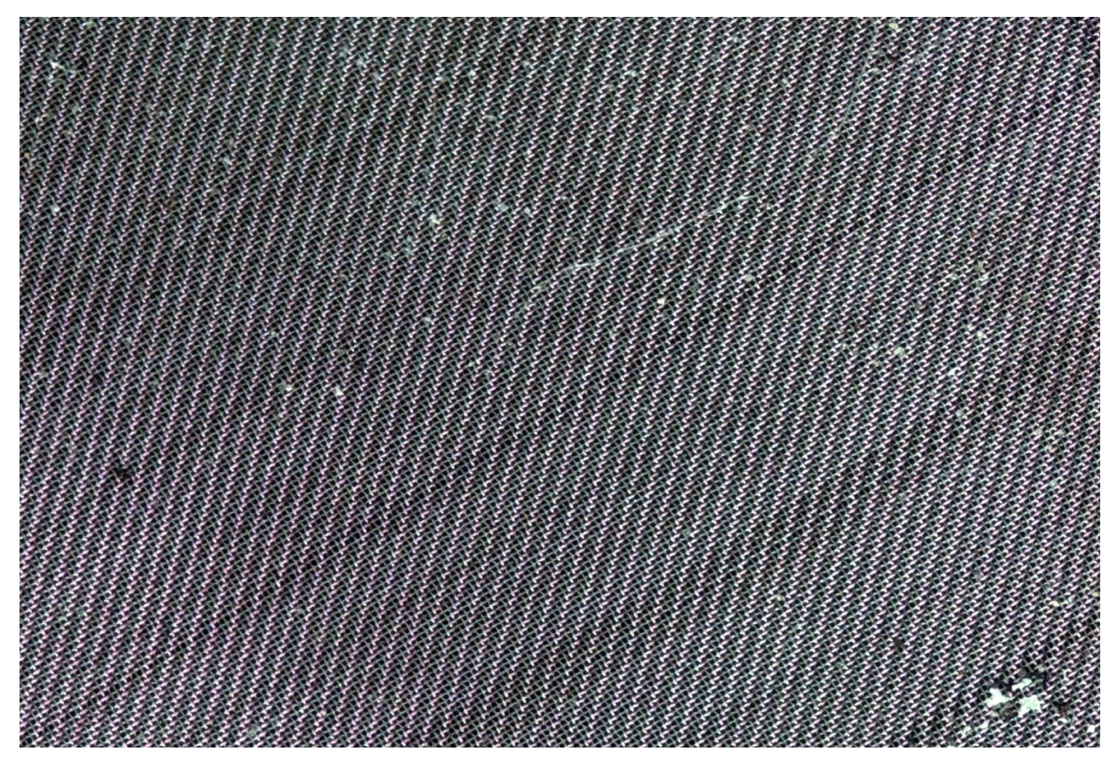 Microplastics 03 00016 g002
