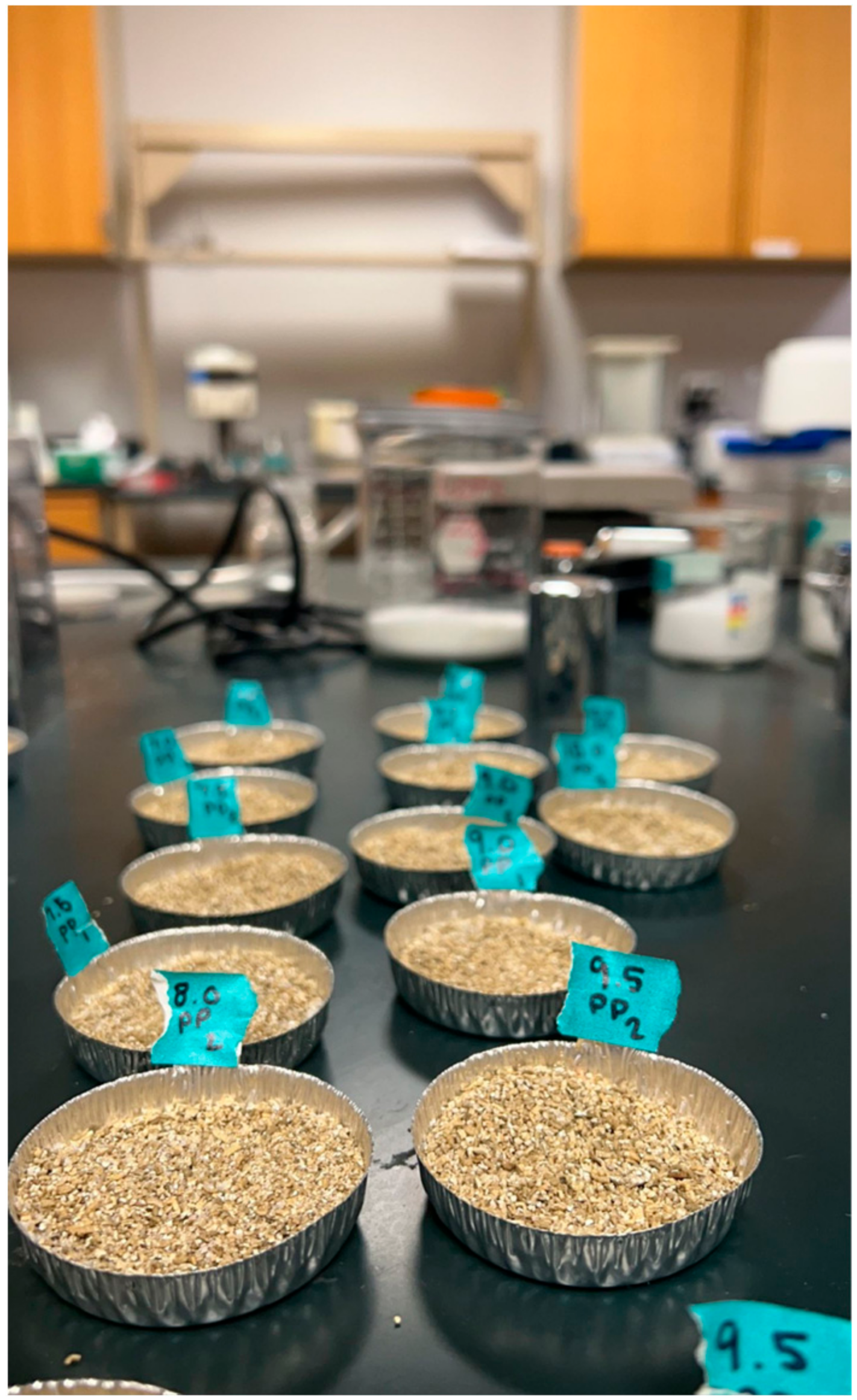 Microplastics 03 00021 g001