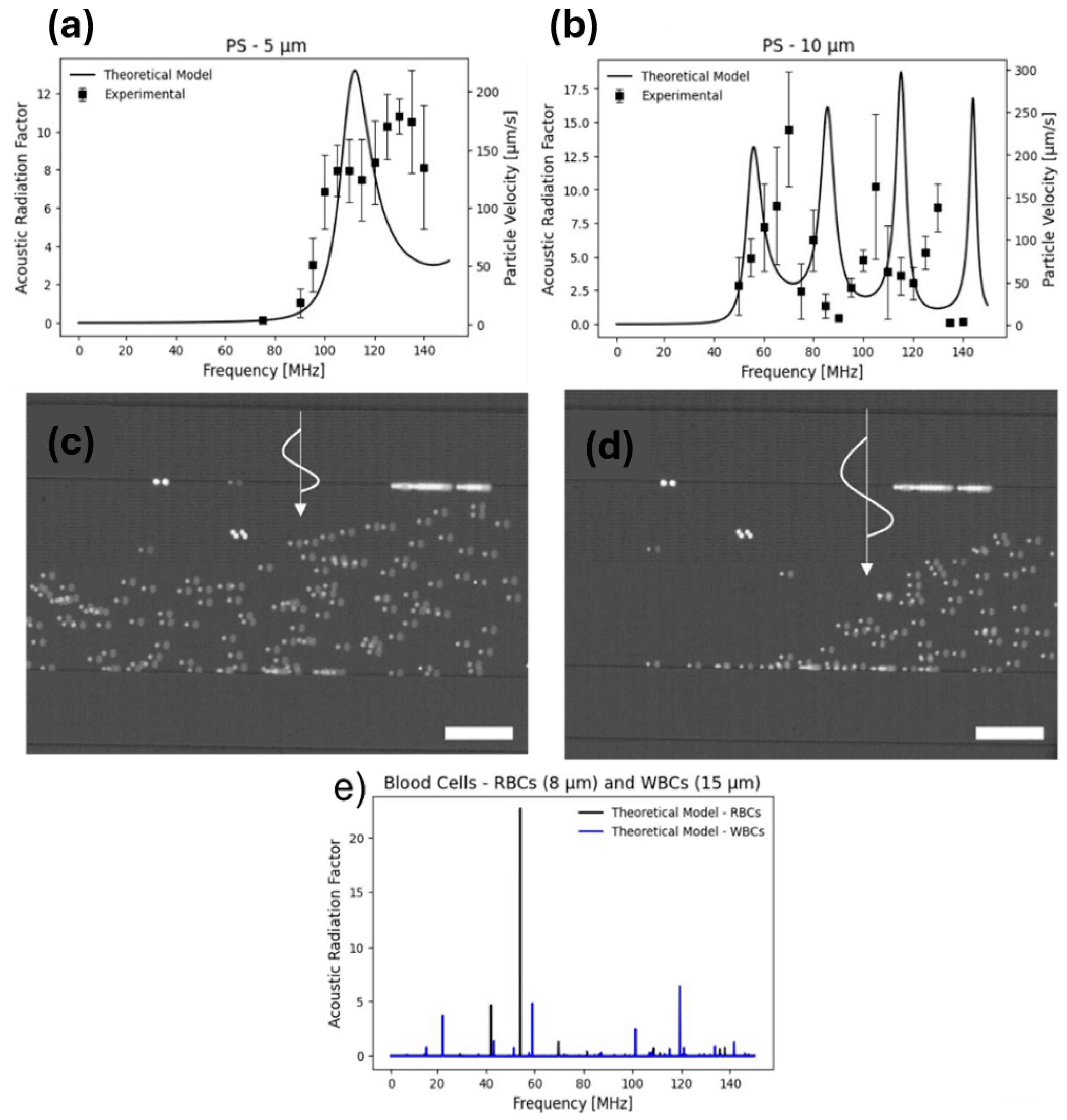 Microplastics 03 00028 g003