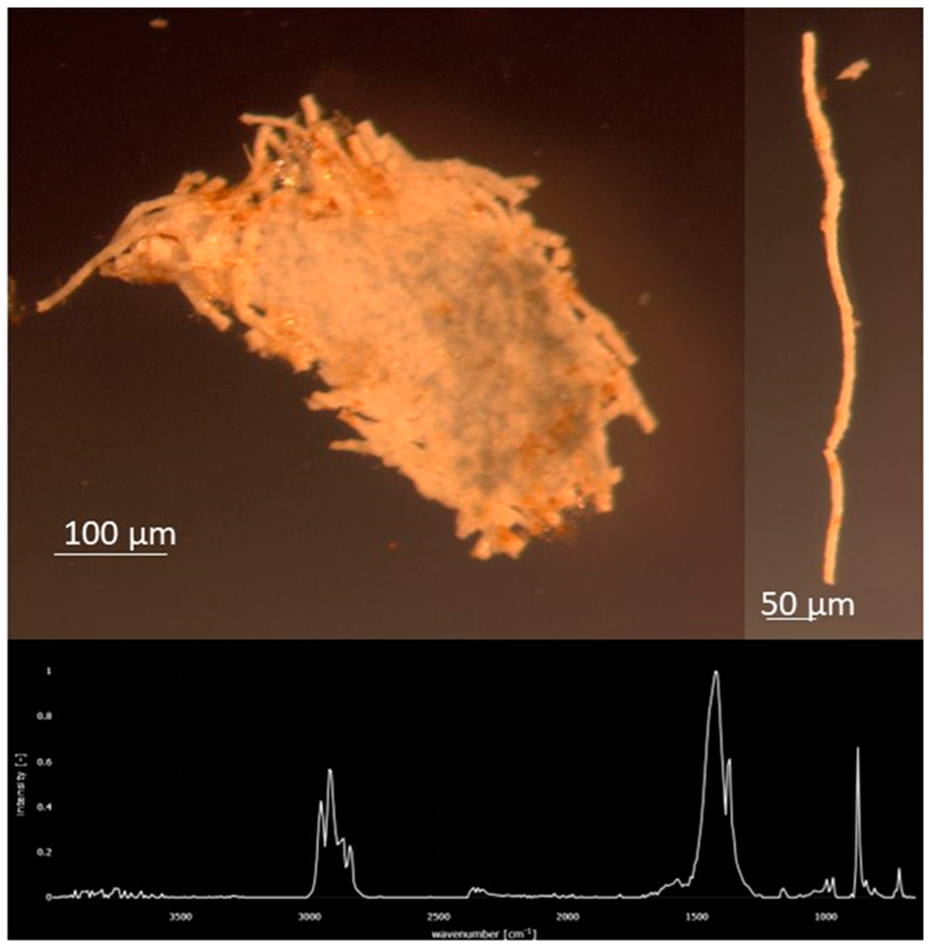 Microplastics 03 00034 g007