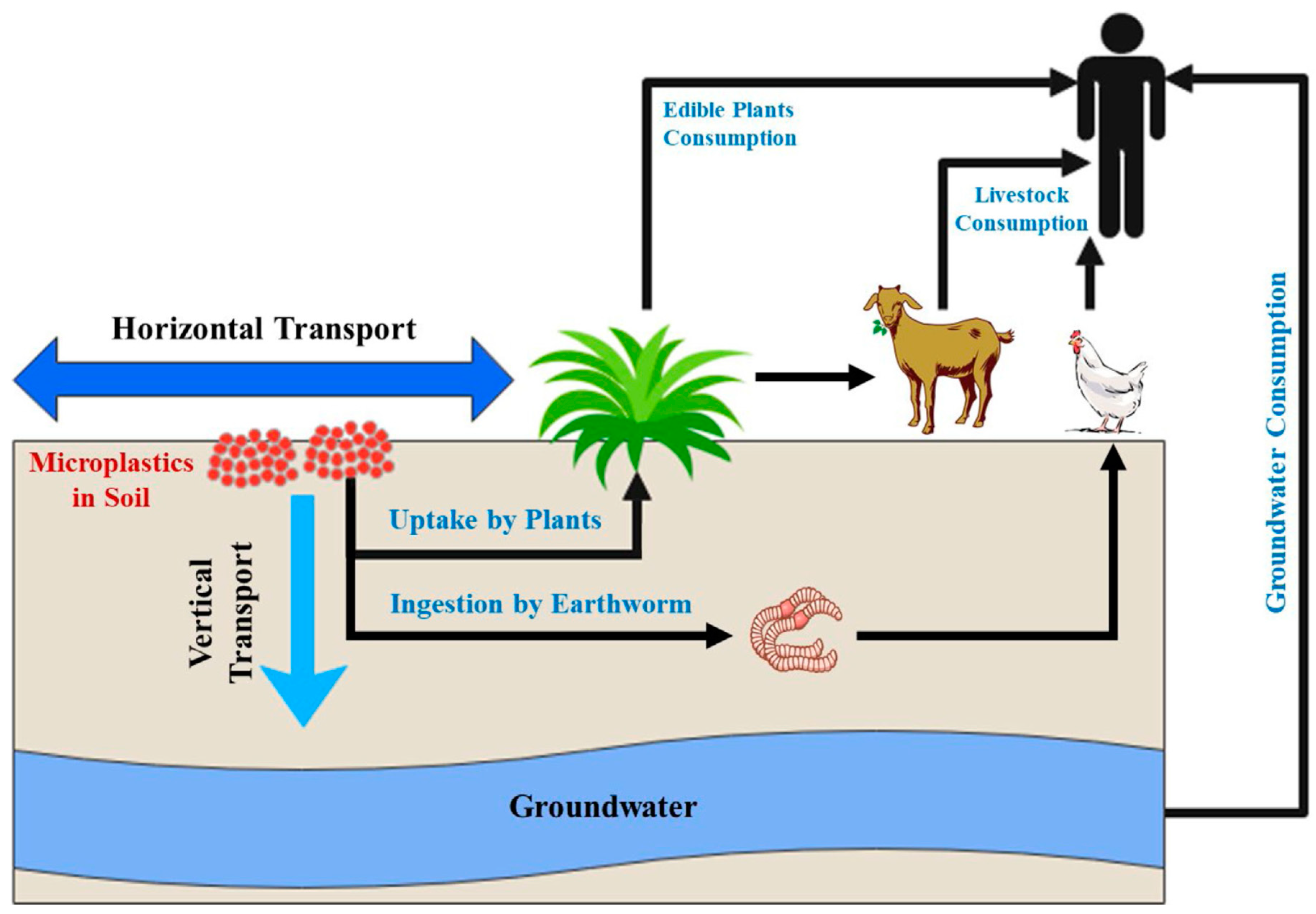 Microplastics 03 00035 g002