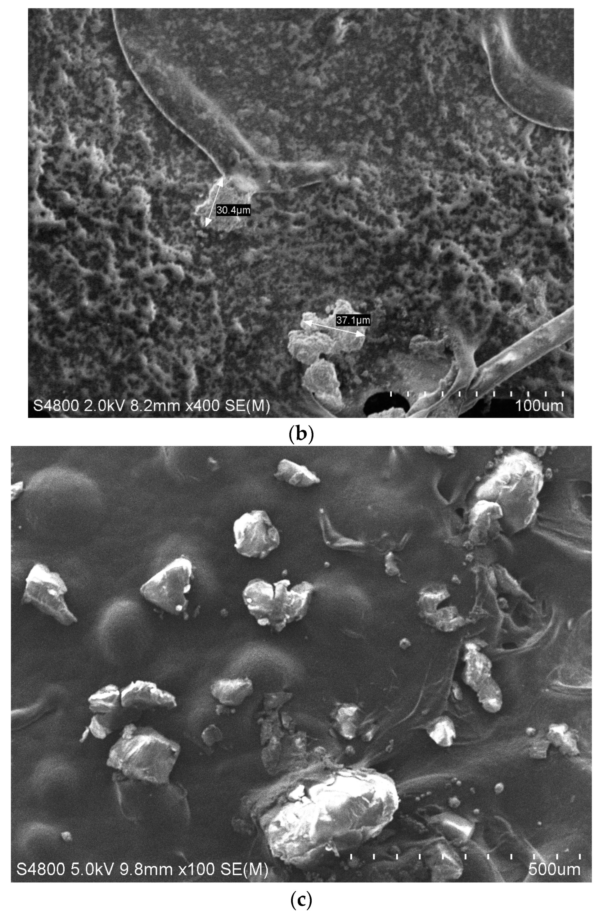 Microplastics 03 00039 g005b