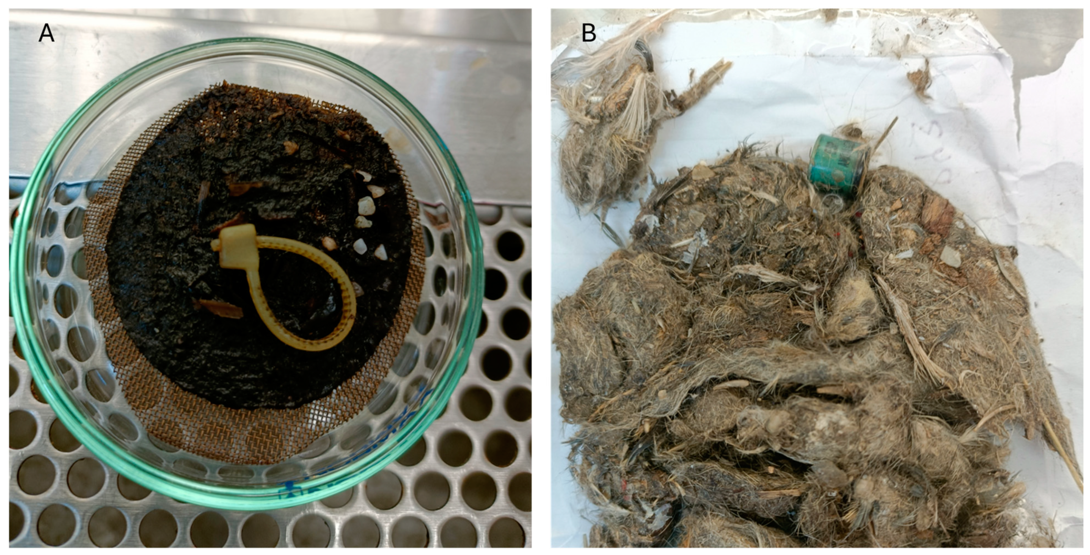 Microplastics 03 00041 g002