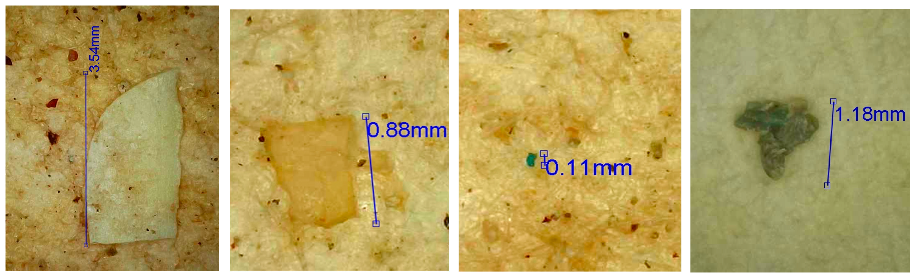 Microplastics 04 00002 g005