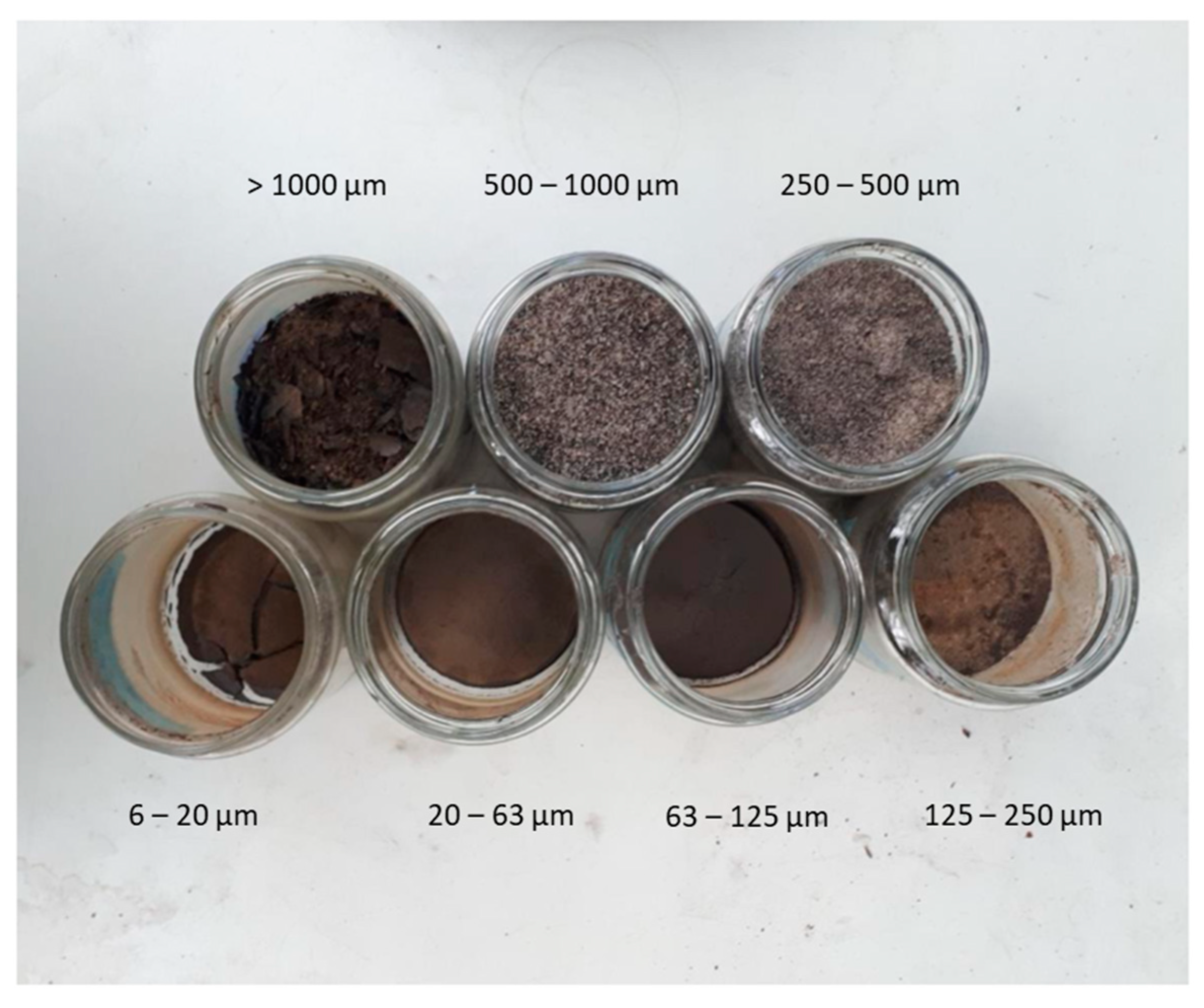 Microplastics 04 00003 g003