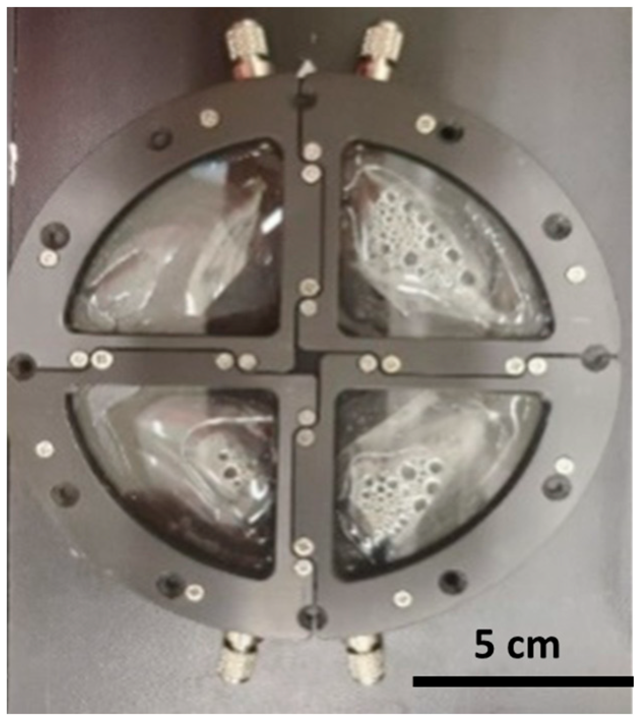 Microplastics 04 00013 g001