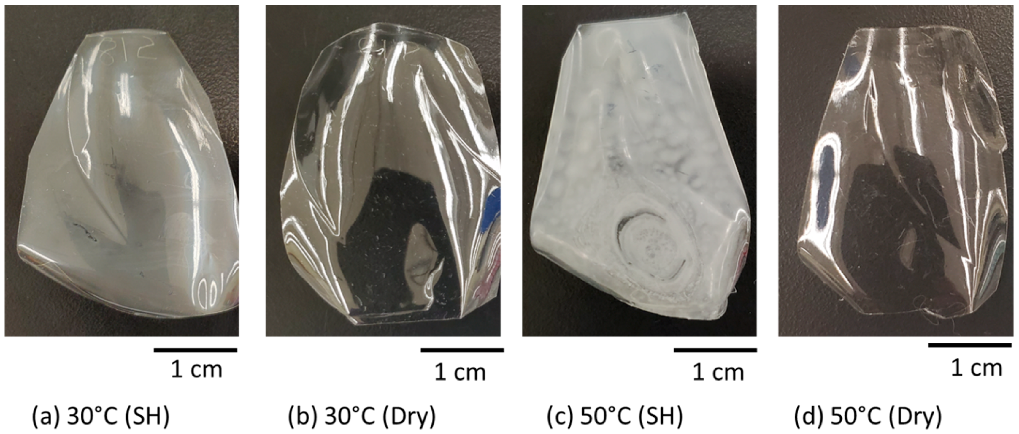 Microplastics 04 00013 g003