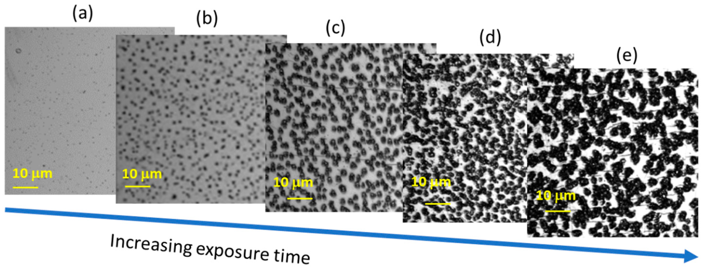 Microplastics 04 00013 g008