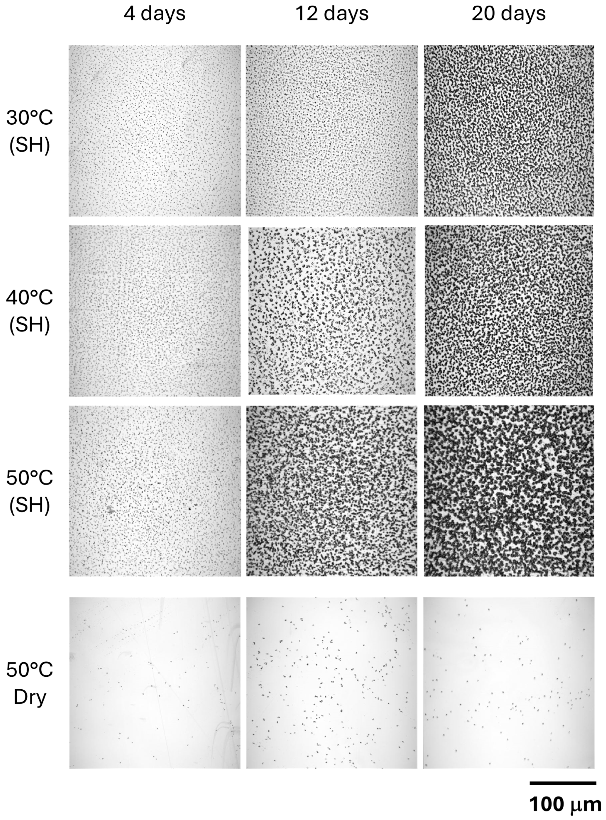 Microplastics 04 00013 g009