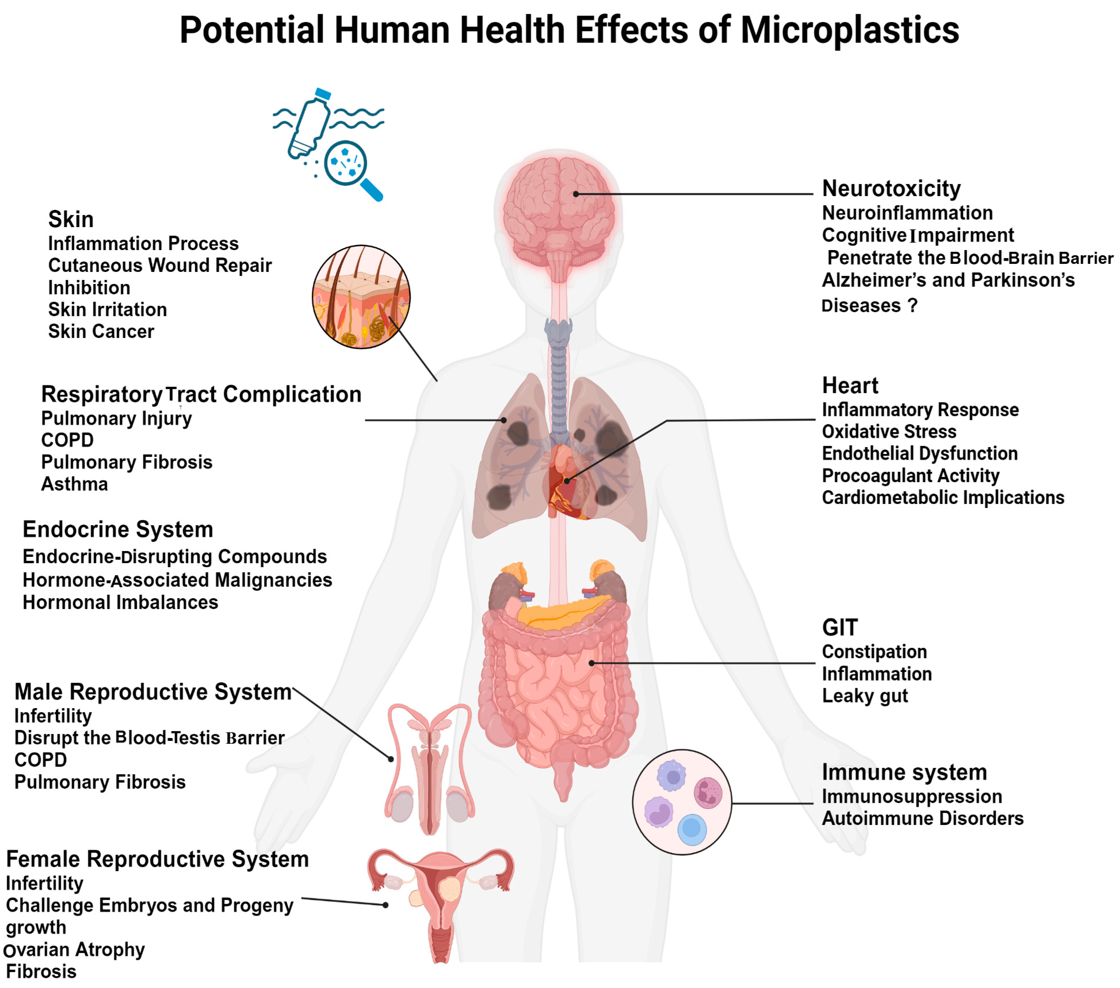 Microplastics 04 00023 g001
