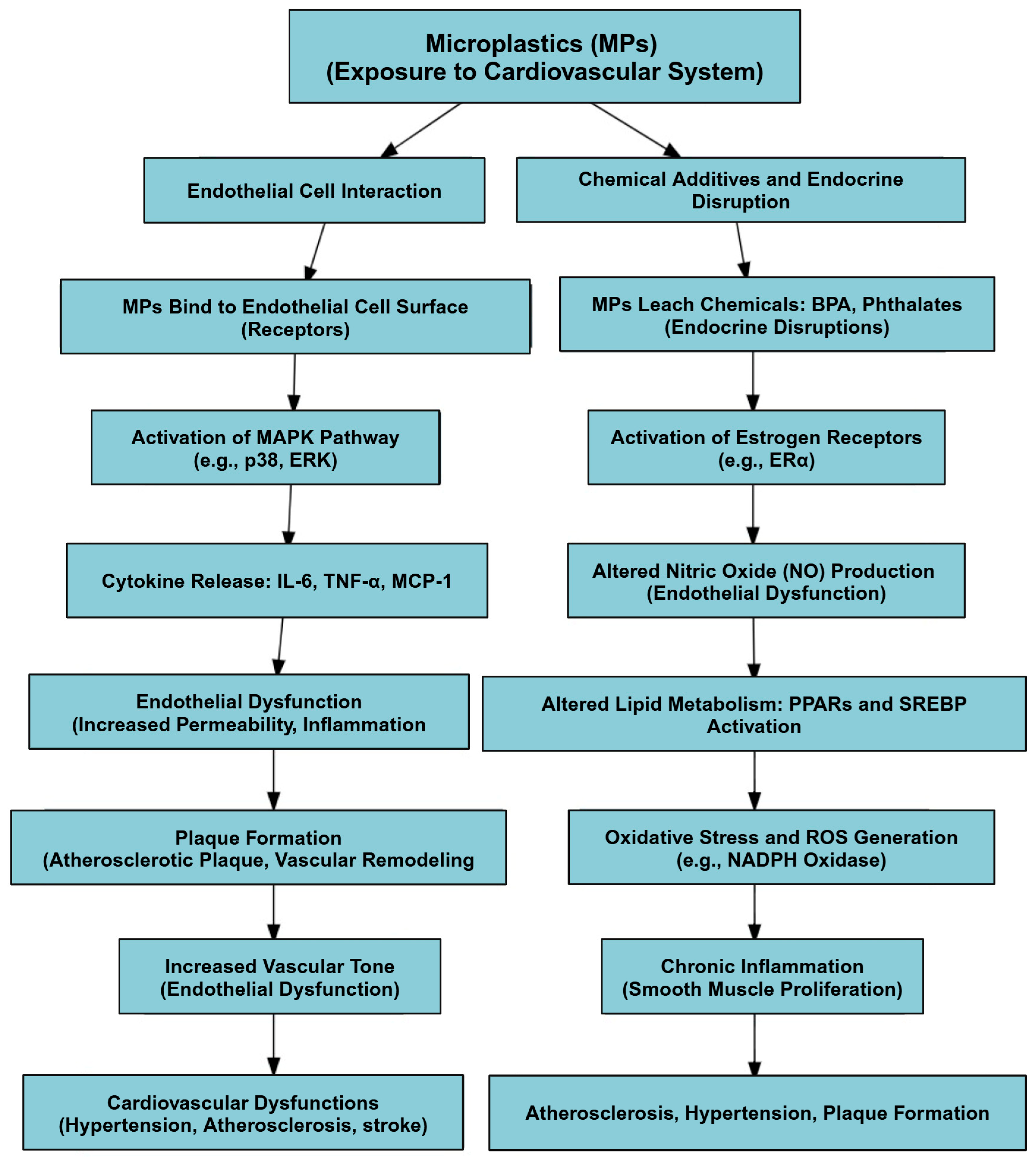 Microplastics 04 00023 g005
