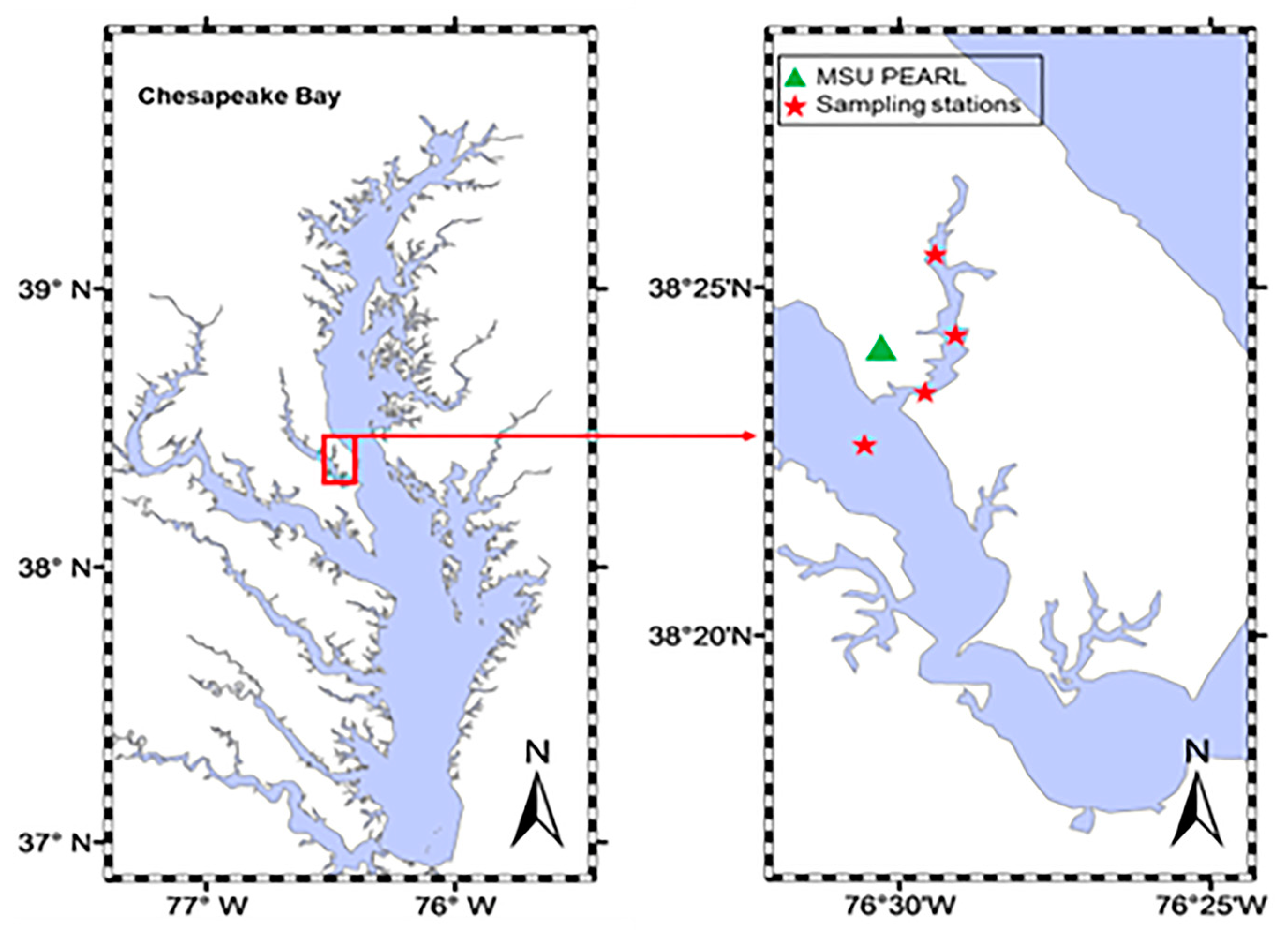 Microplastics 04 00032 g001
