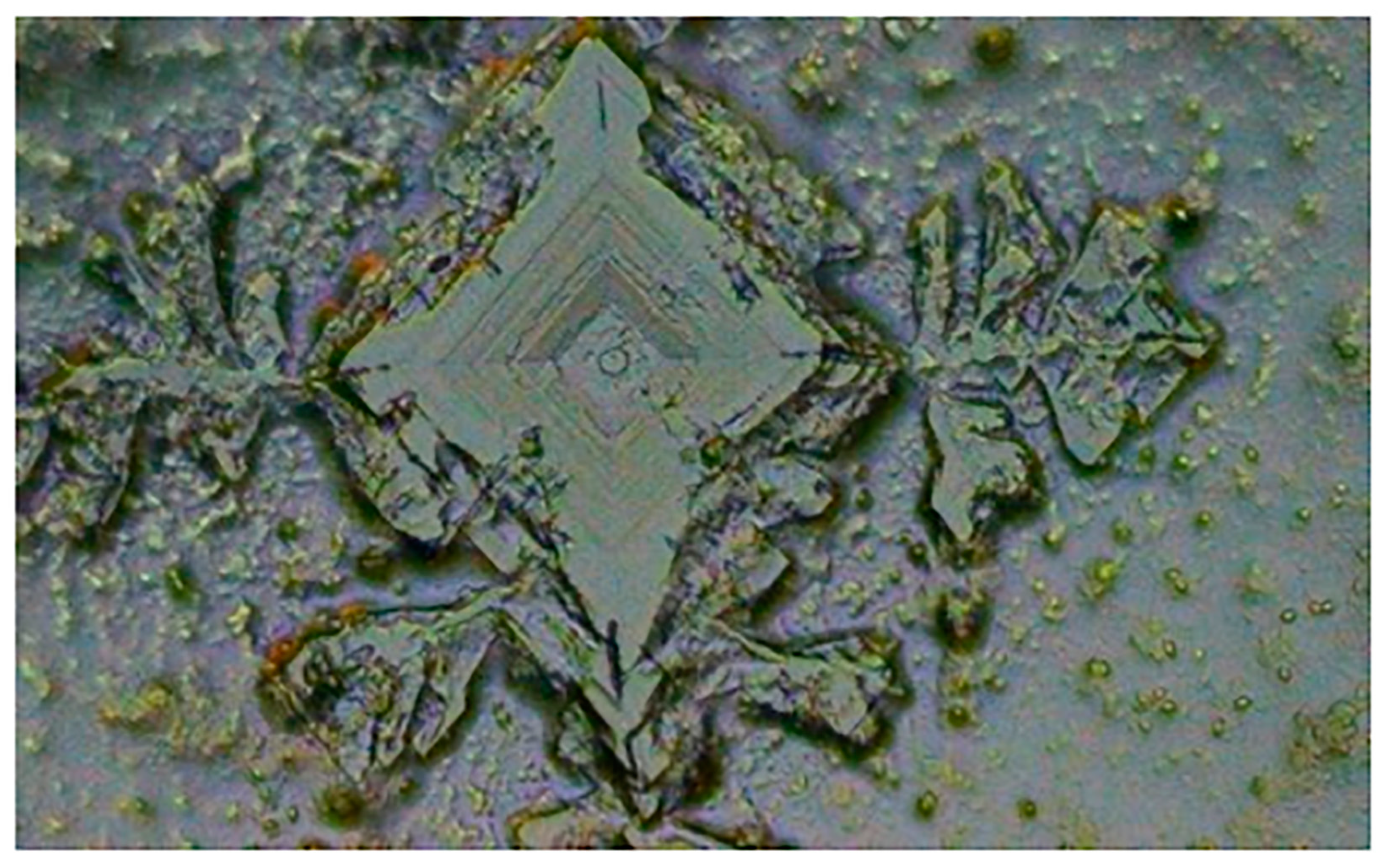 Microplastics 04 00032 g007