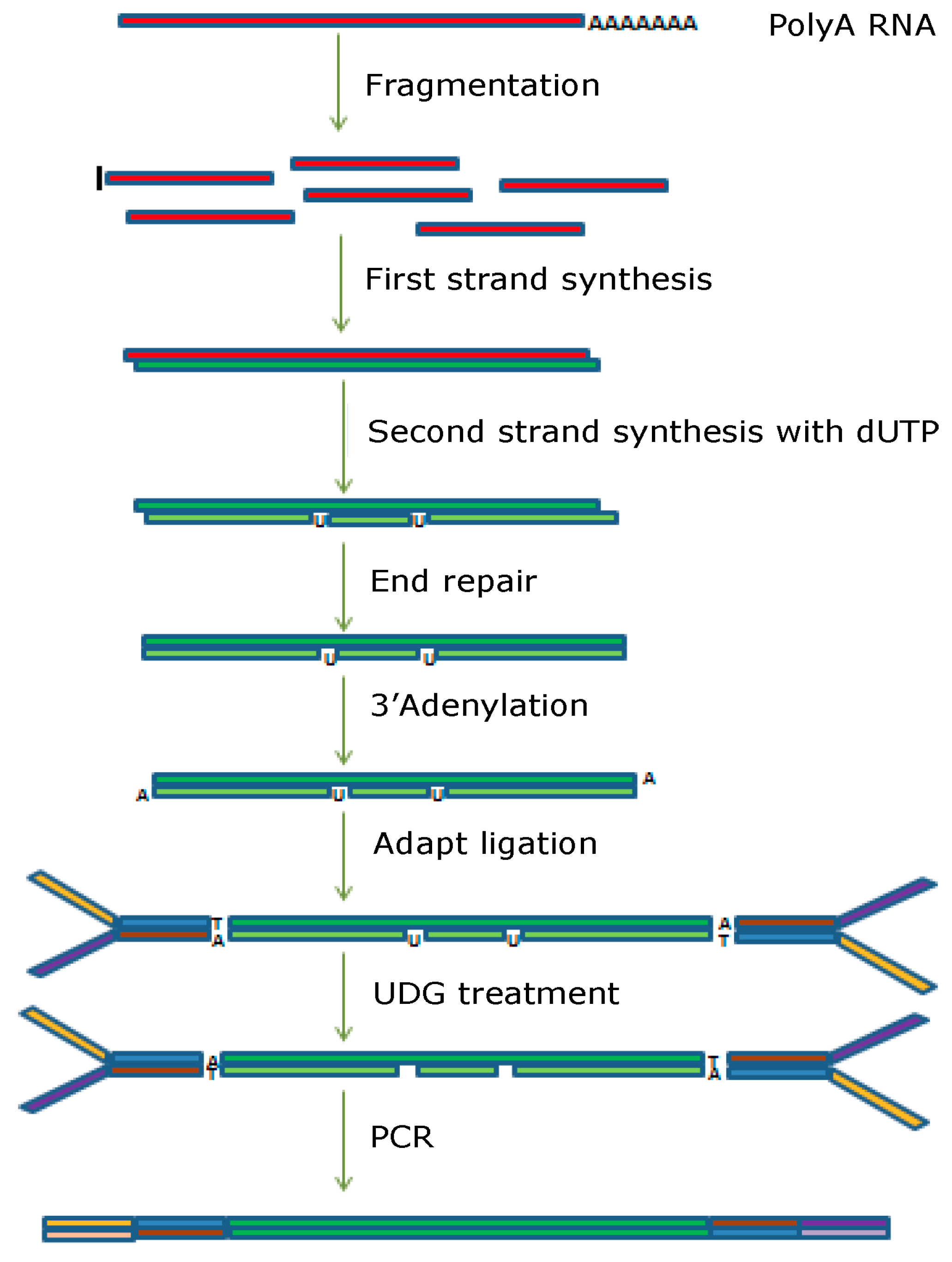 Microplastics 04 00033 g001