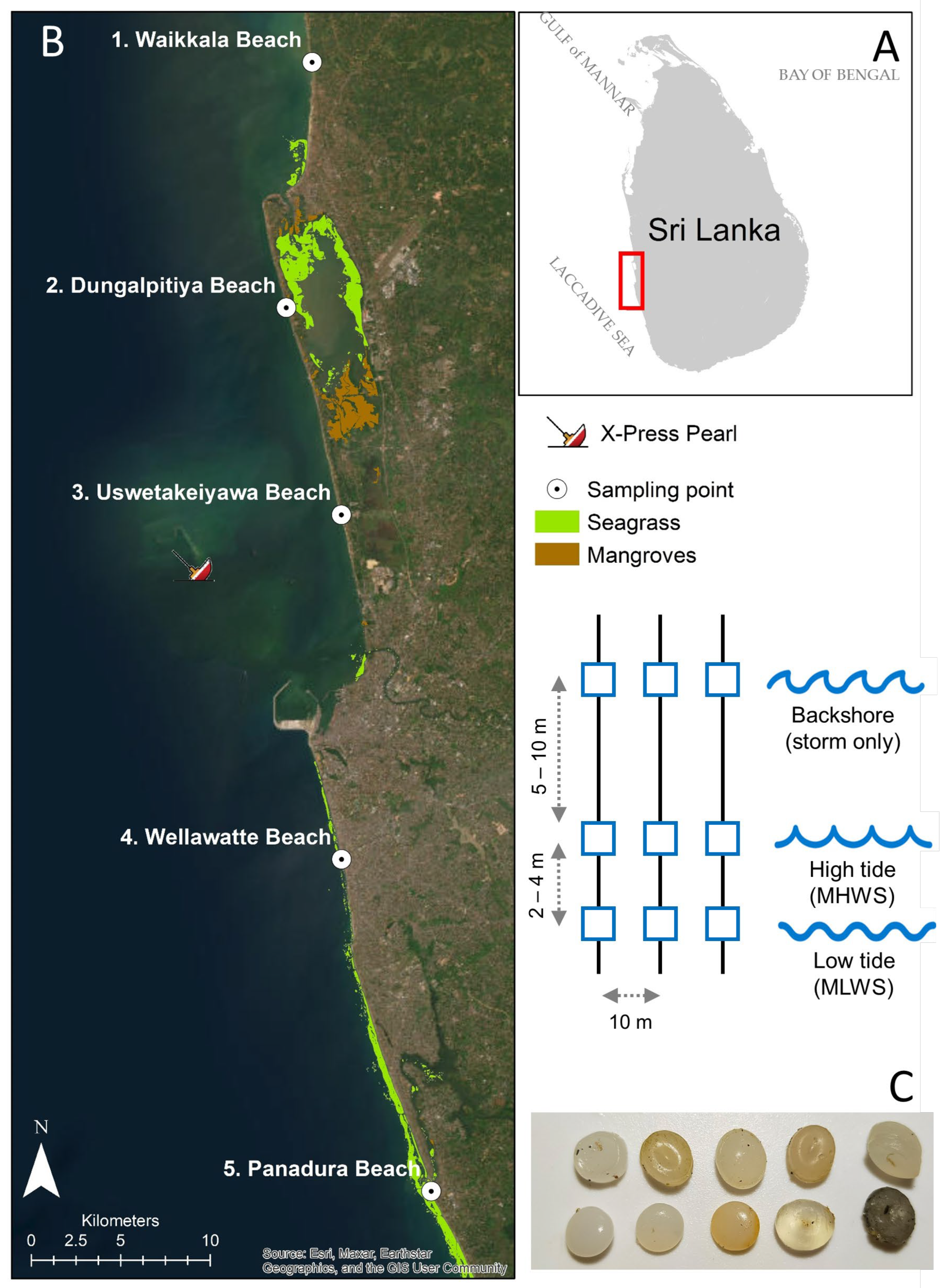 Microplastics 04 00037 g001
