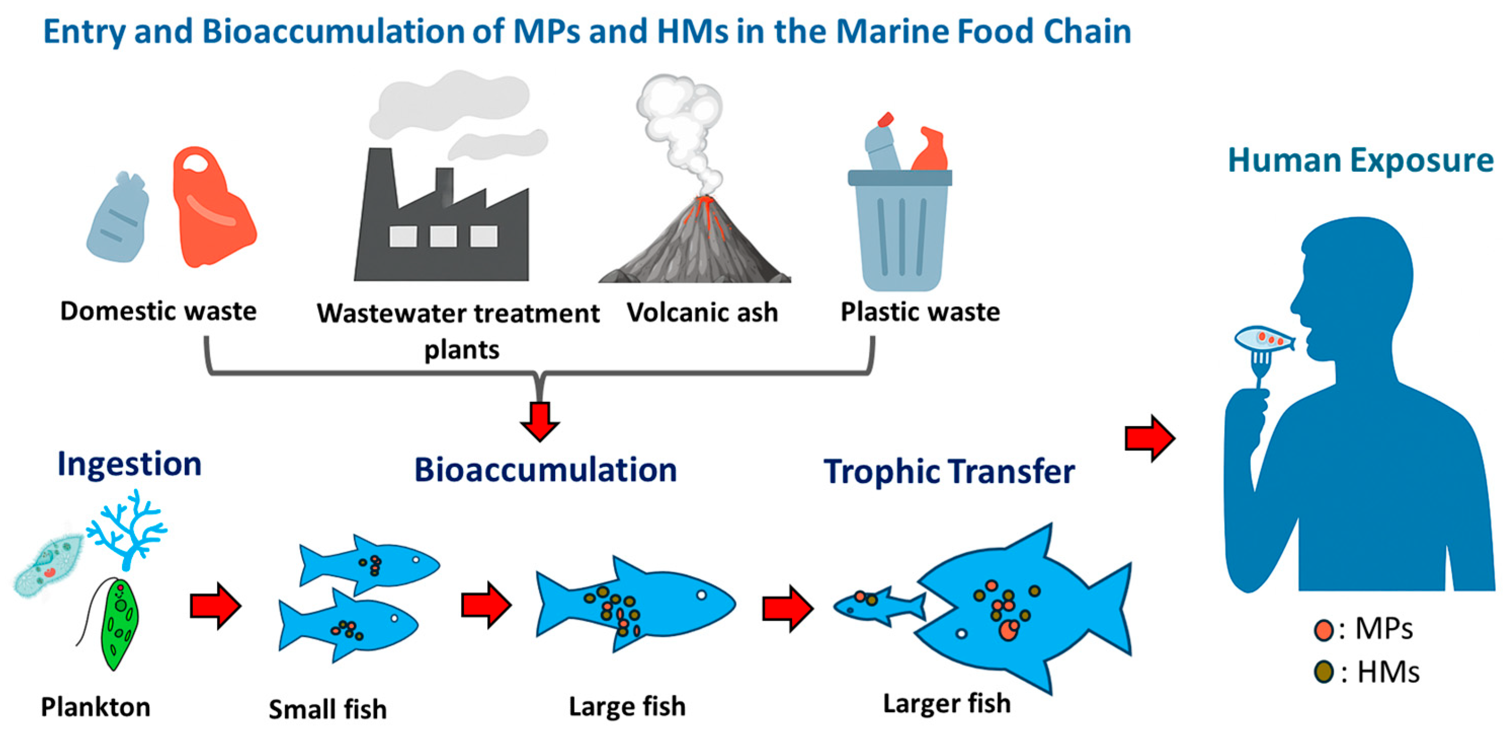 Microplastics 04 00038 g001