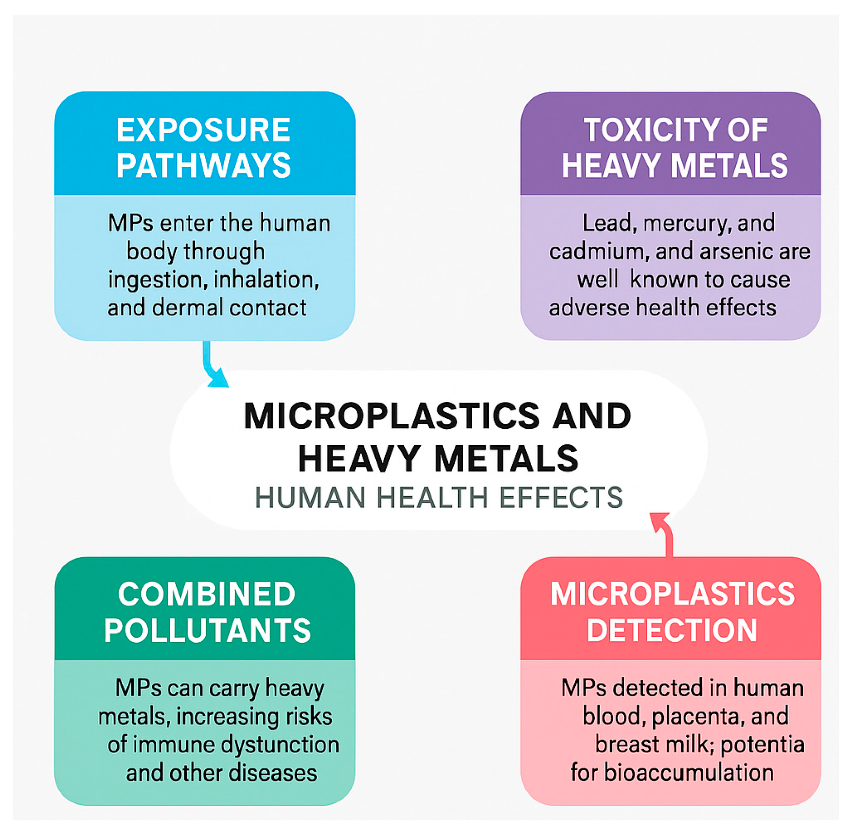 Microplastics 04 00038 g003
