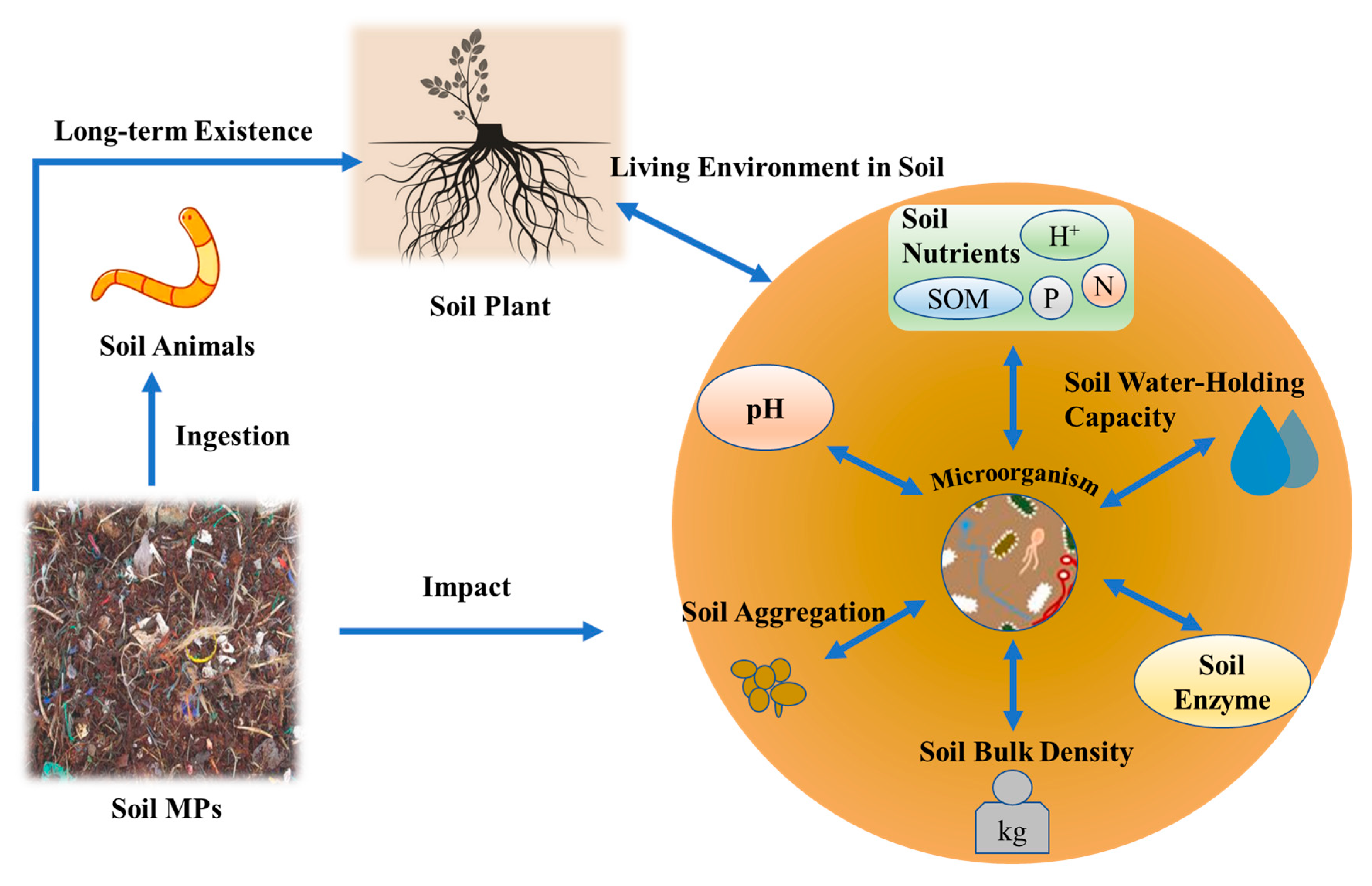 Microplastics 04 00039 g002