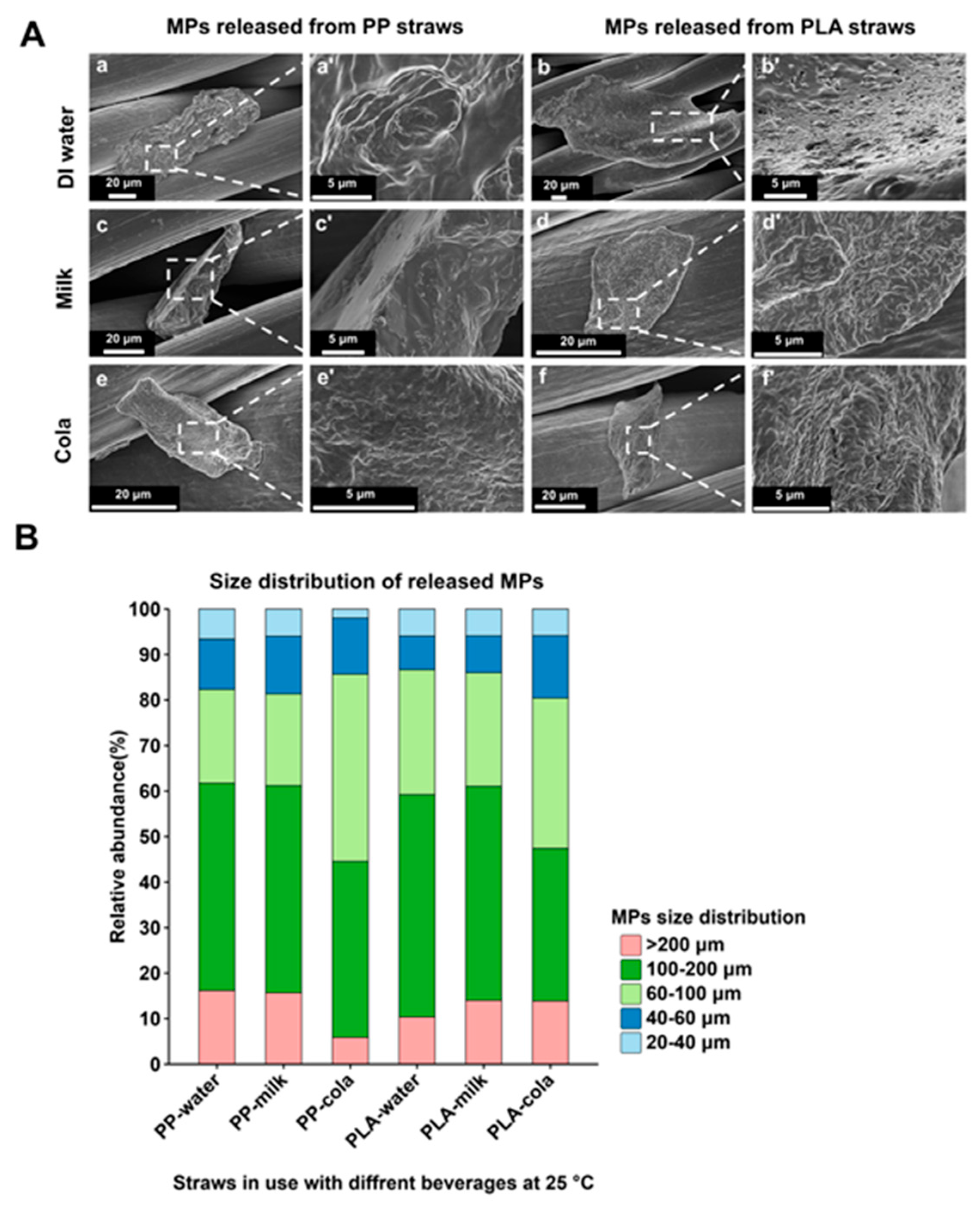 Microplastics 04 00042 g004