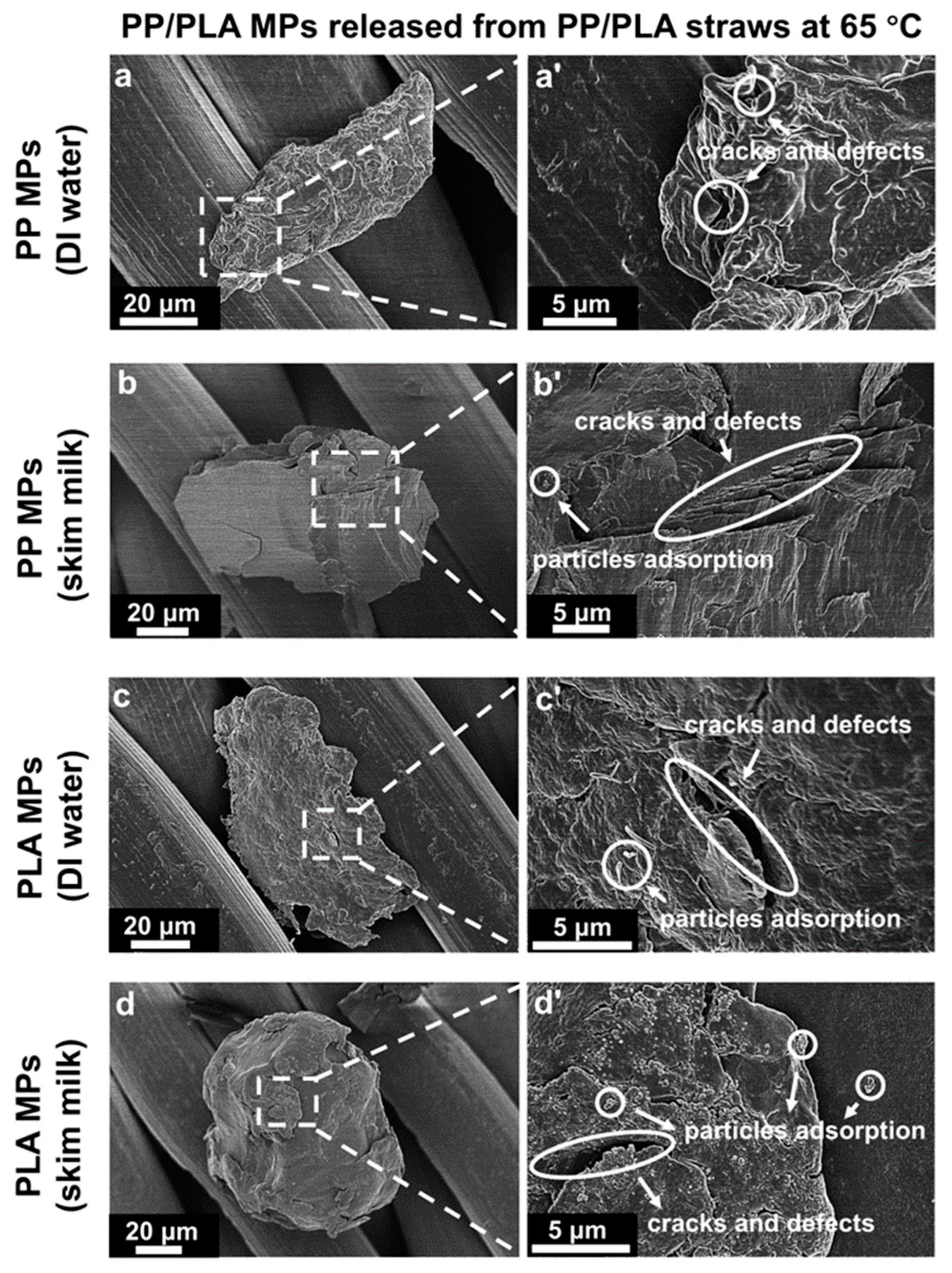 Microplastics 04 00042 g007