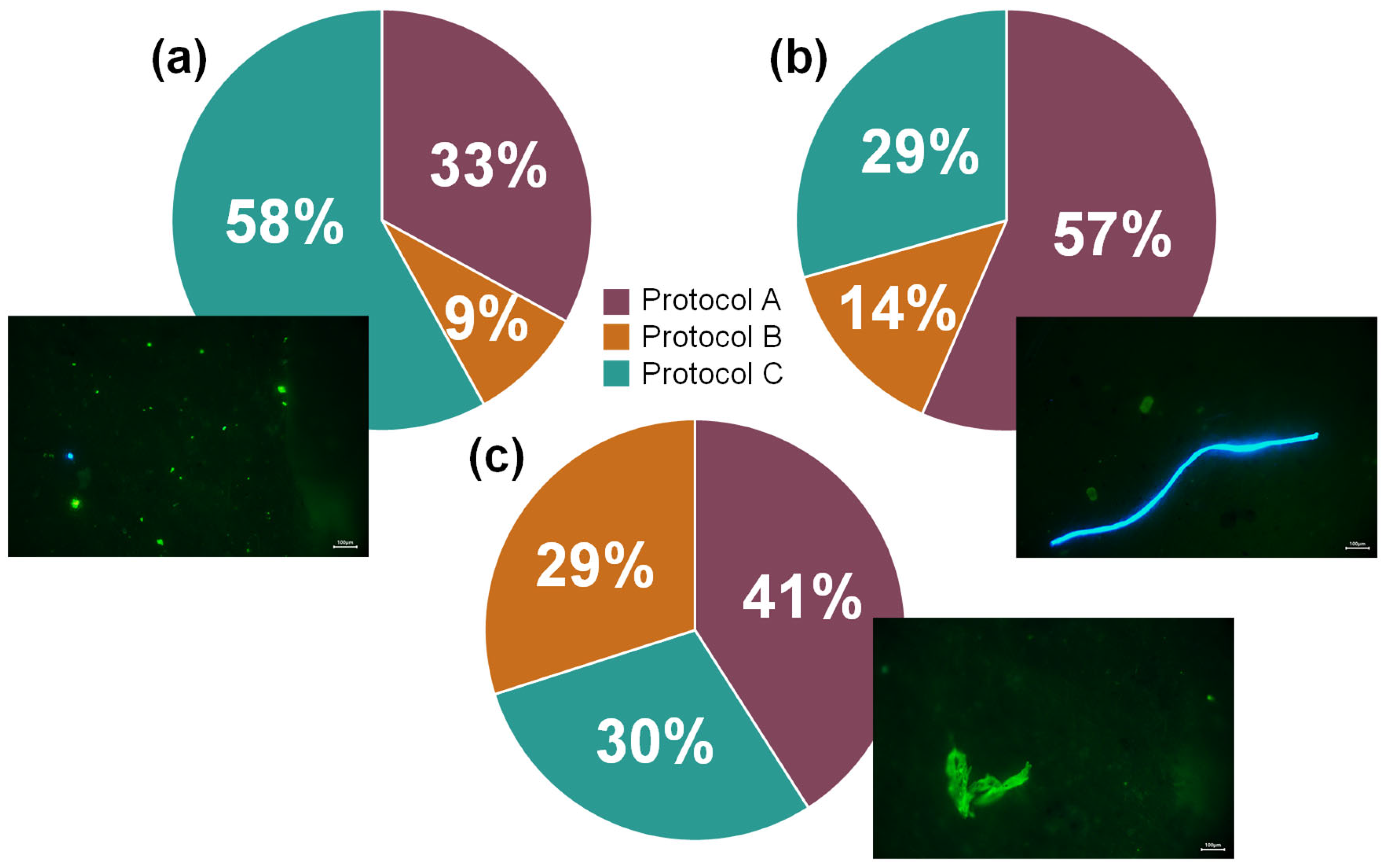 Microplastics 04 00049 g002