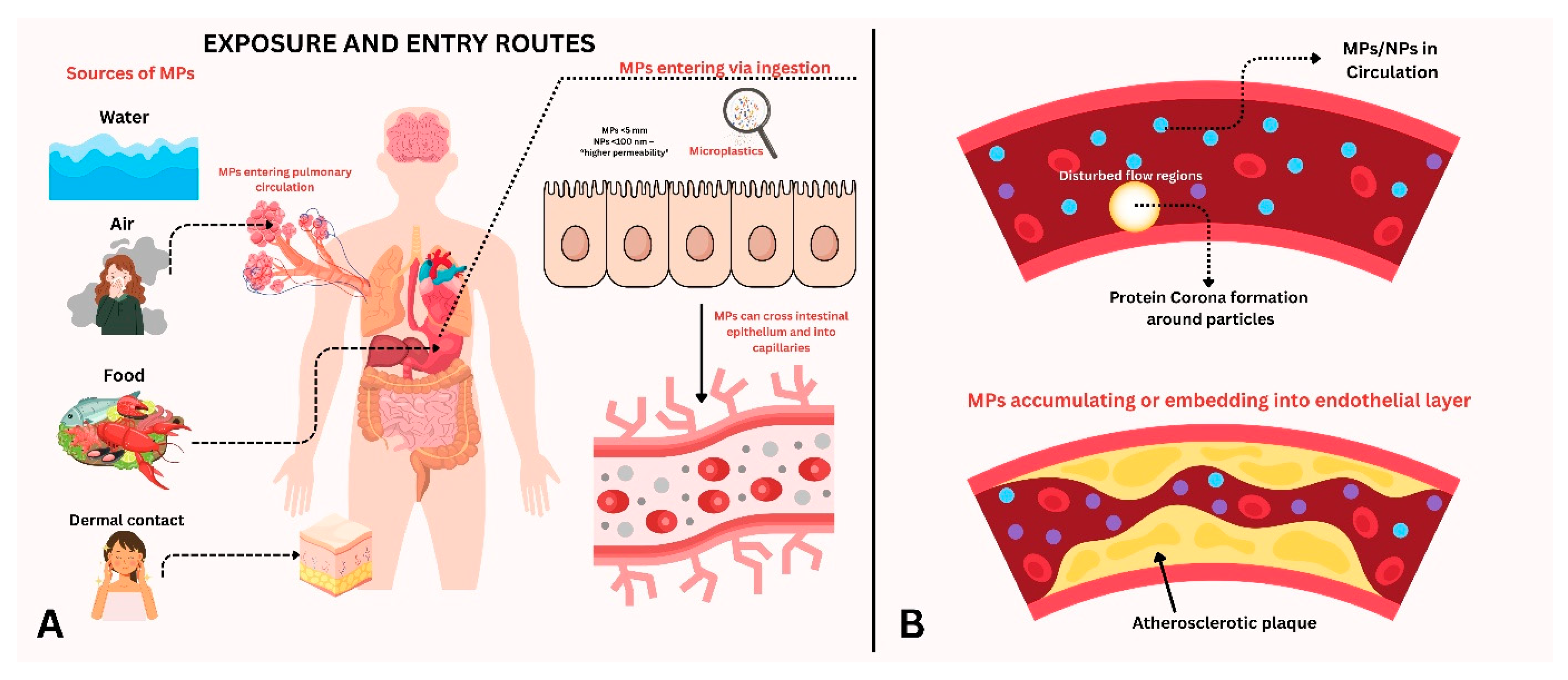 Microplastics 04 00052 g001