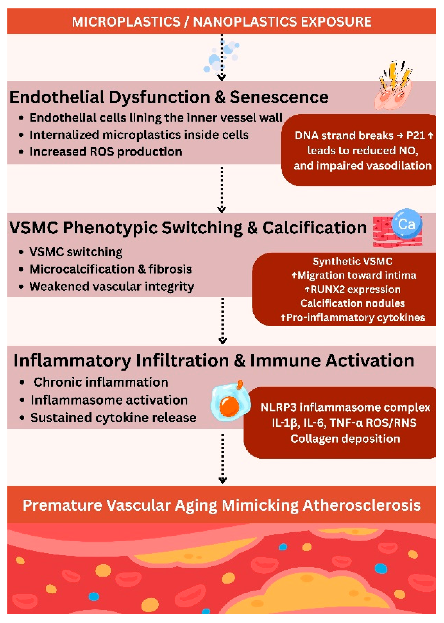 Microplastics 04 00052 g002