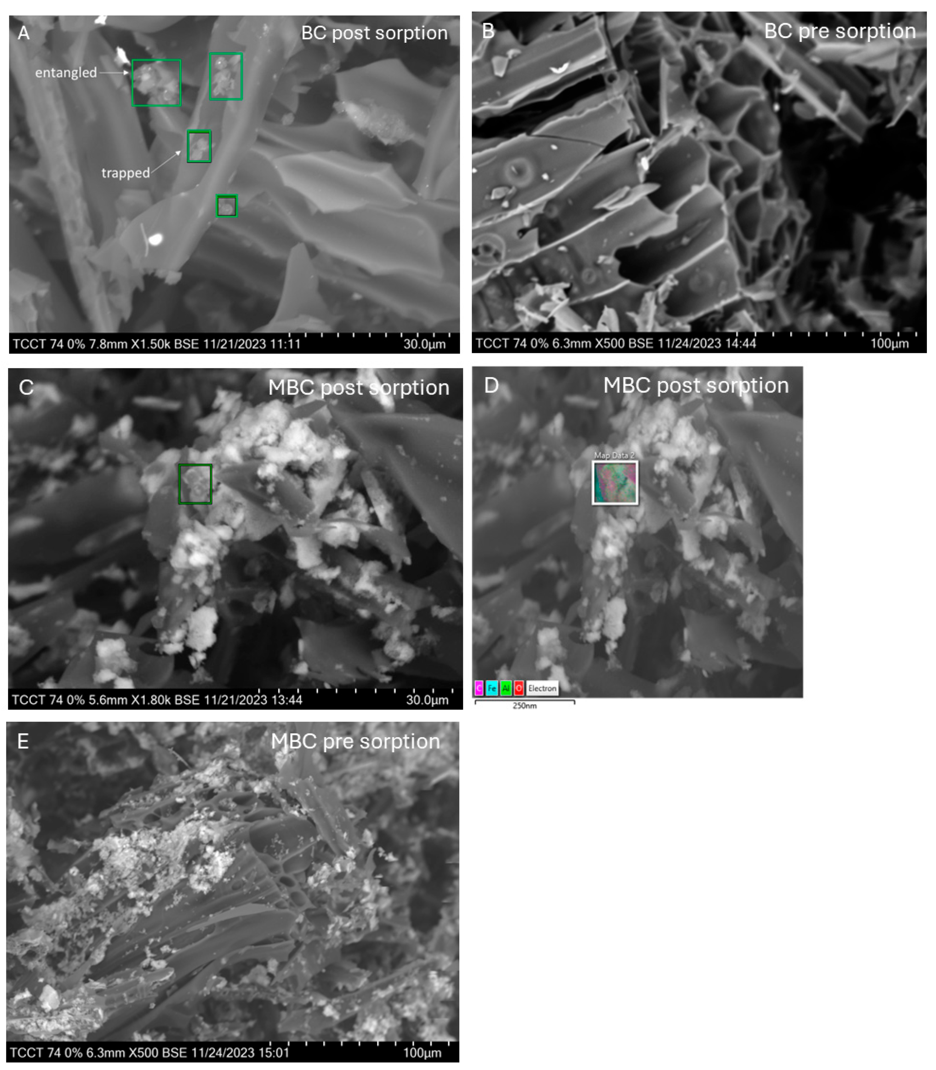 Microplastics 04 00054 g004 Microplastics 04 00054 g004