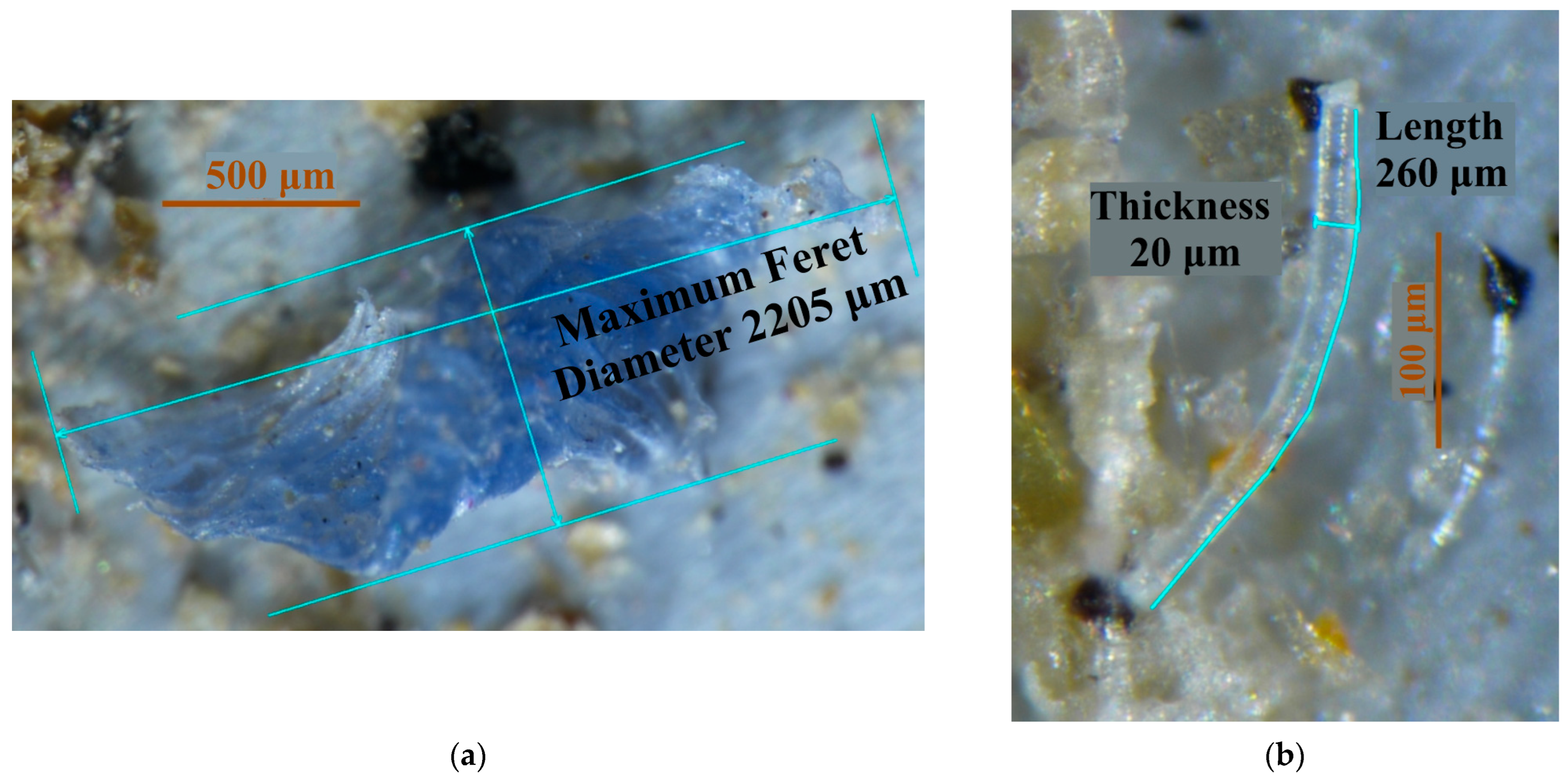 Microplastics 04 00055 g002
