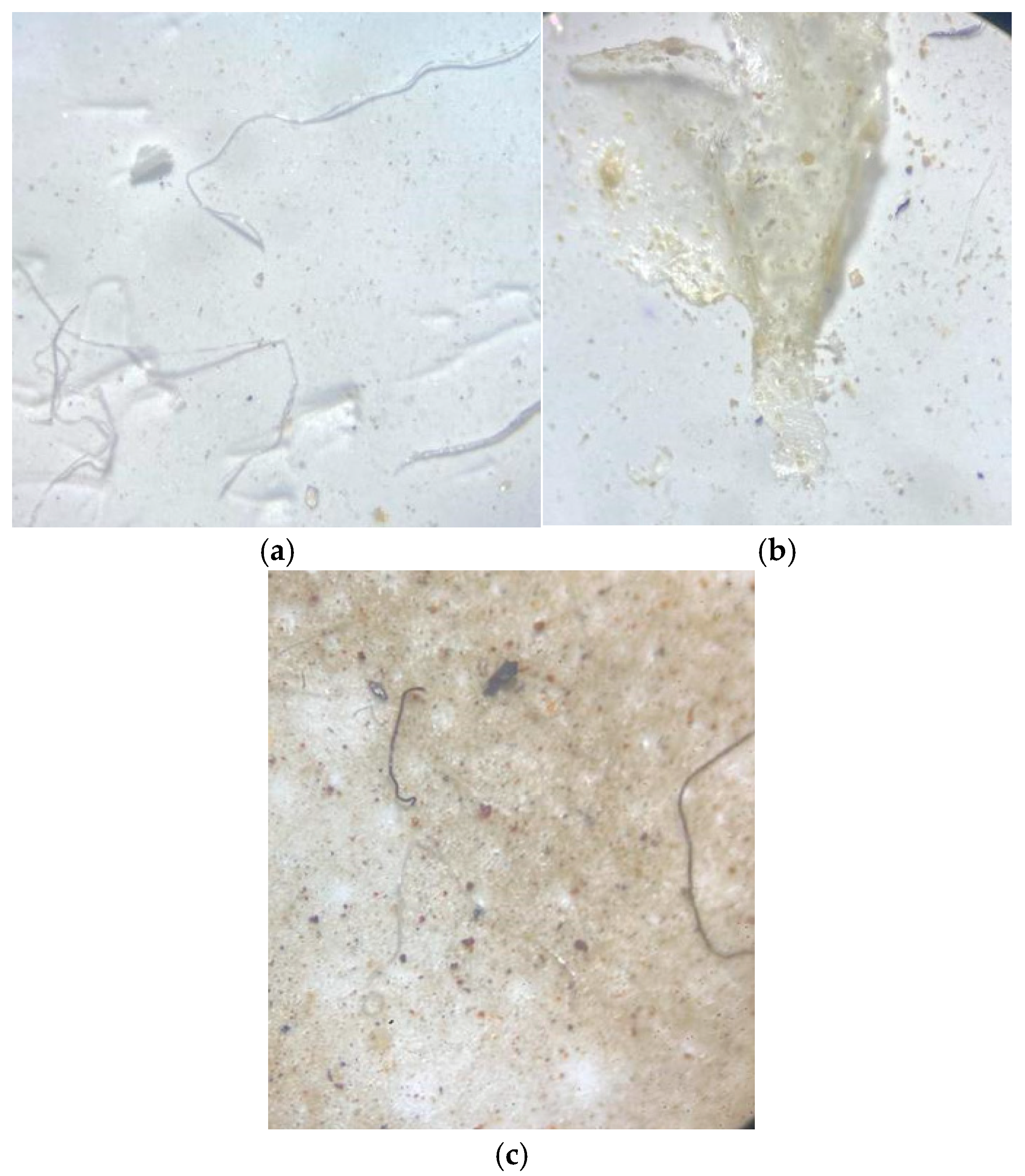 Microplastics 04 00061 g004 Microplastics 04 00061 g004