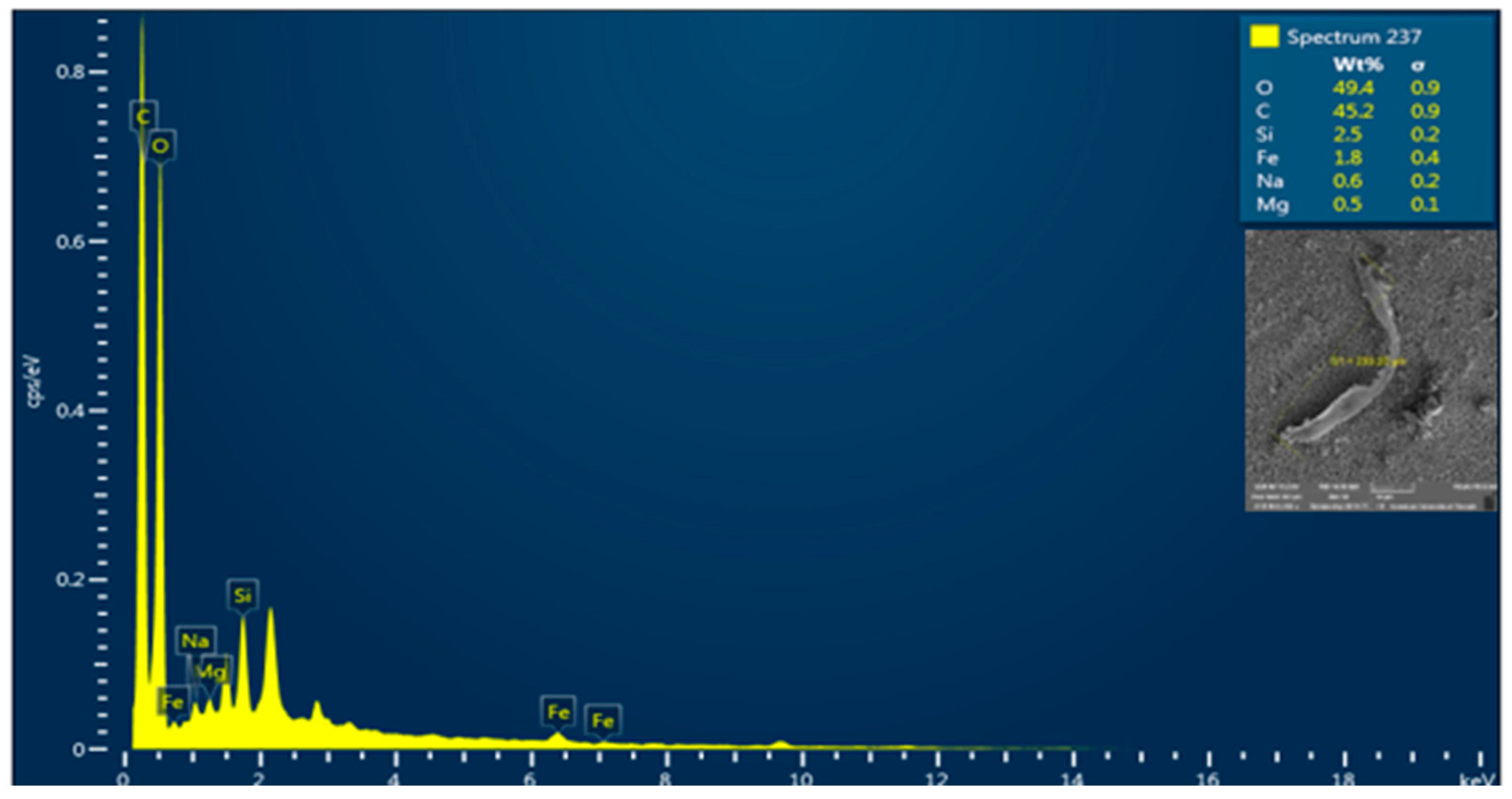Microplastics 04 00061 g009 Microplastics 04 00061 g009