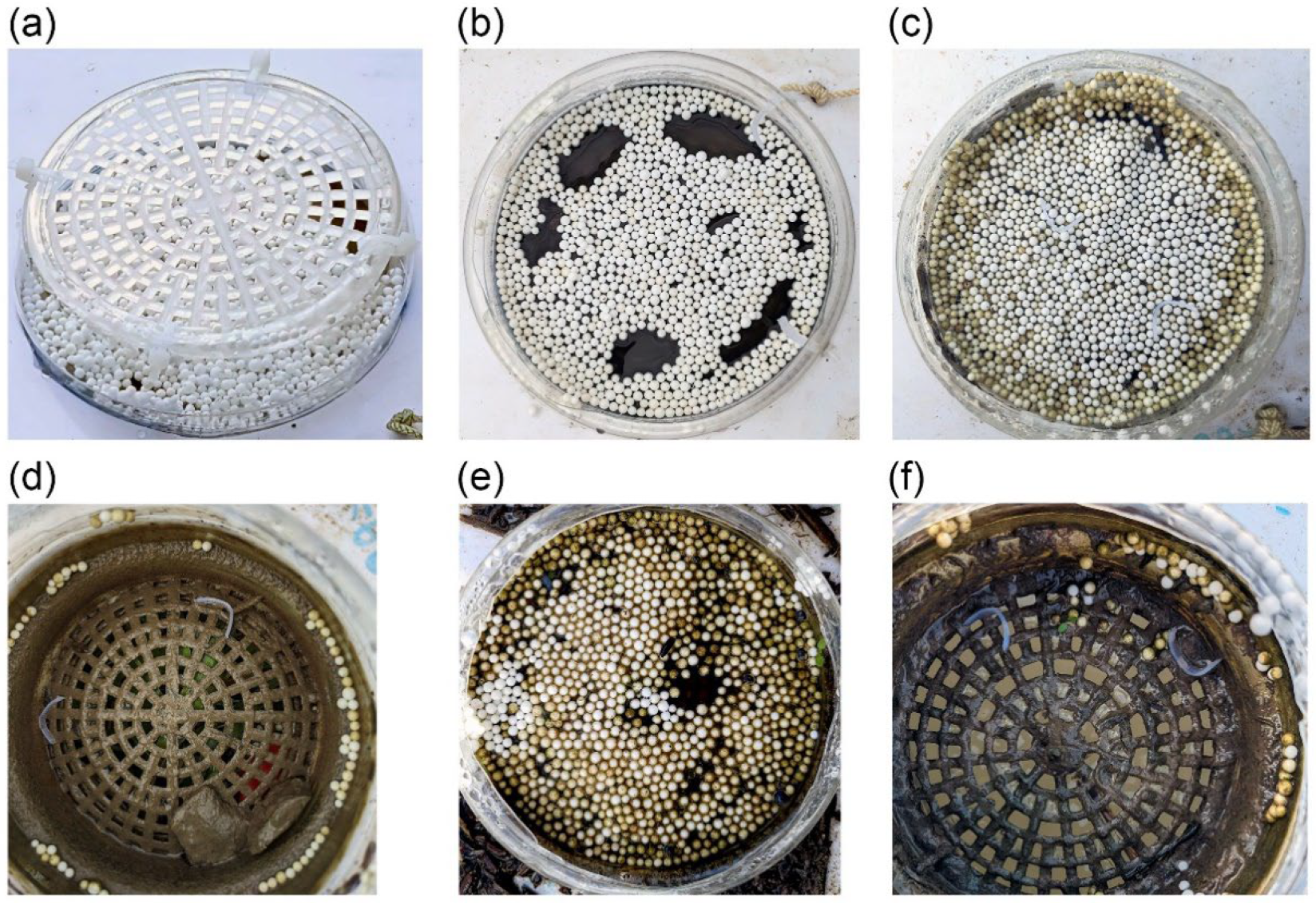 Microplastics 04 00062 g005 Microplastics 04 00062 g005