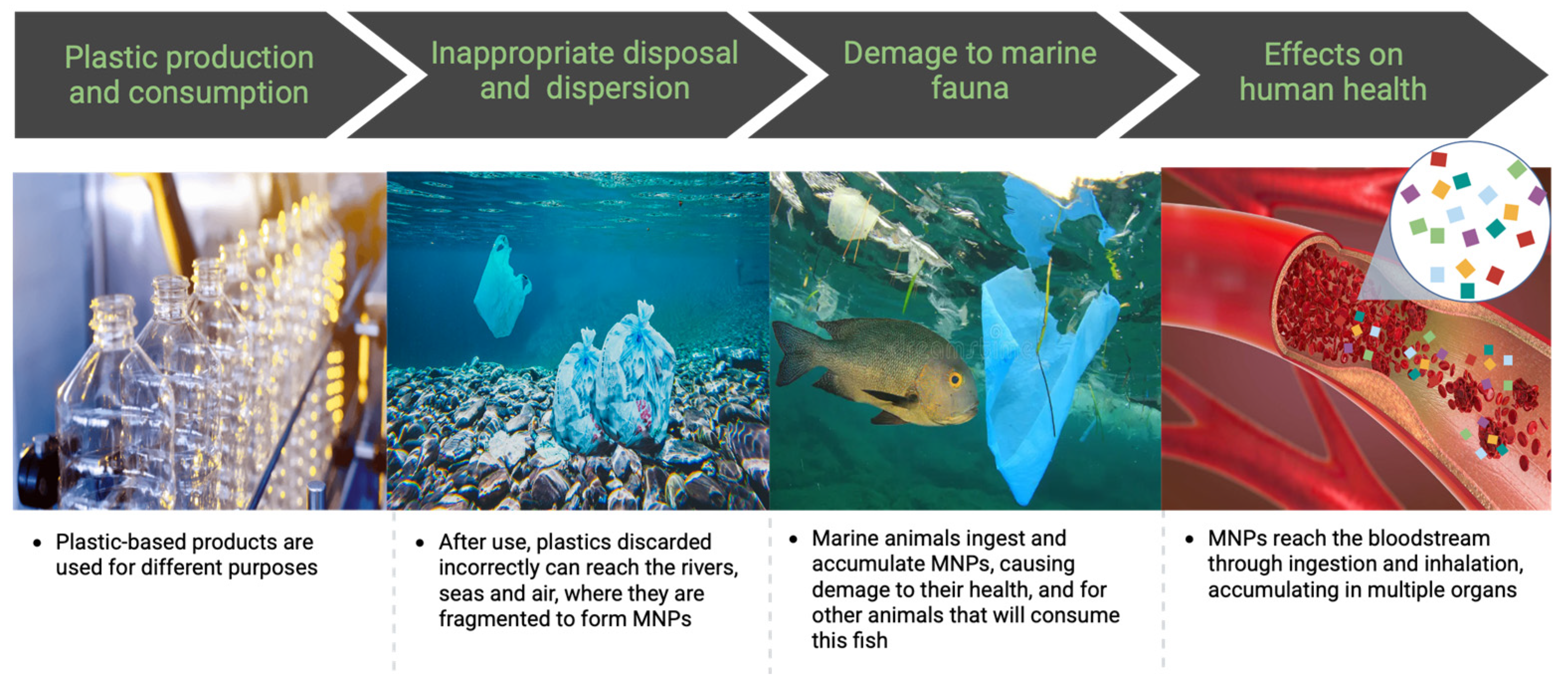 Microplastics 04 00064 g002 Microplastics 04 00064 g002
