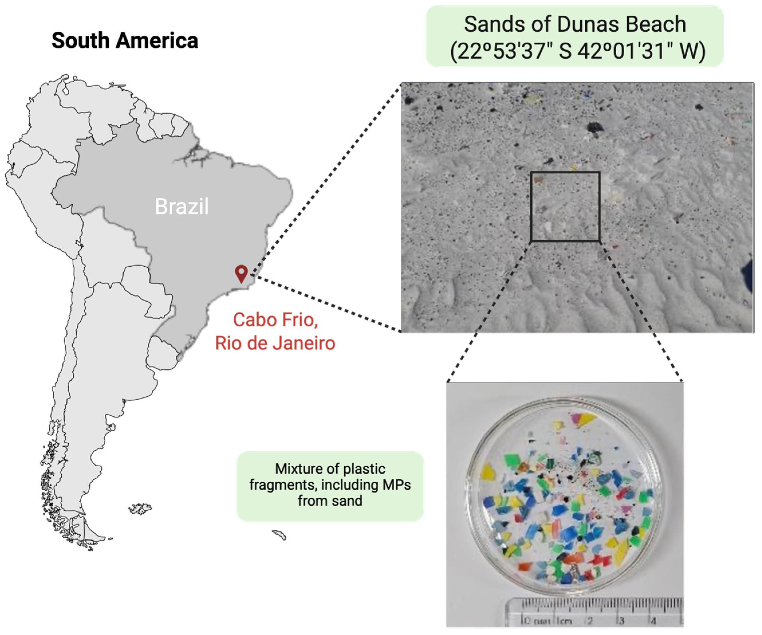 Microplastics 04 00064 g003 Microplastics 04 00064 g003