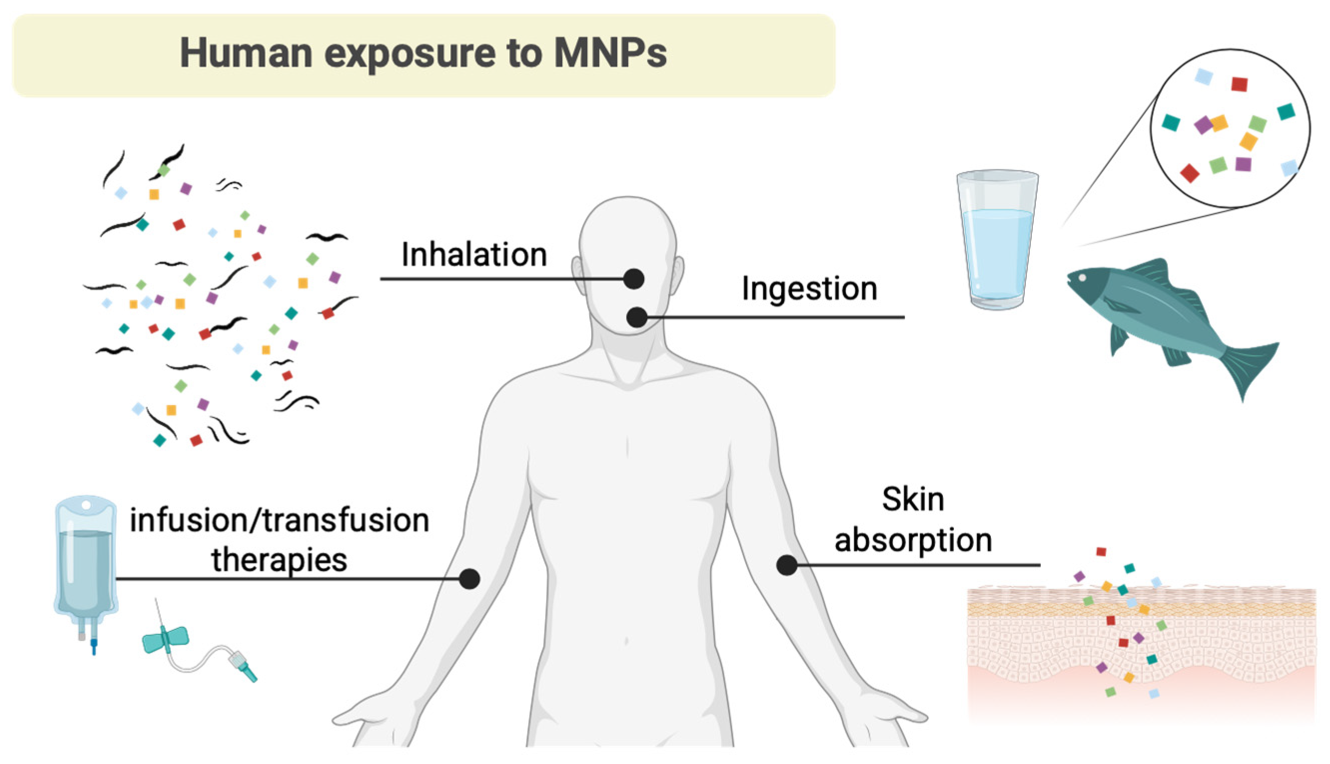 Microplastics 04 00064 g004 Microplastics 04 00064 g004