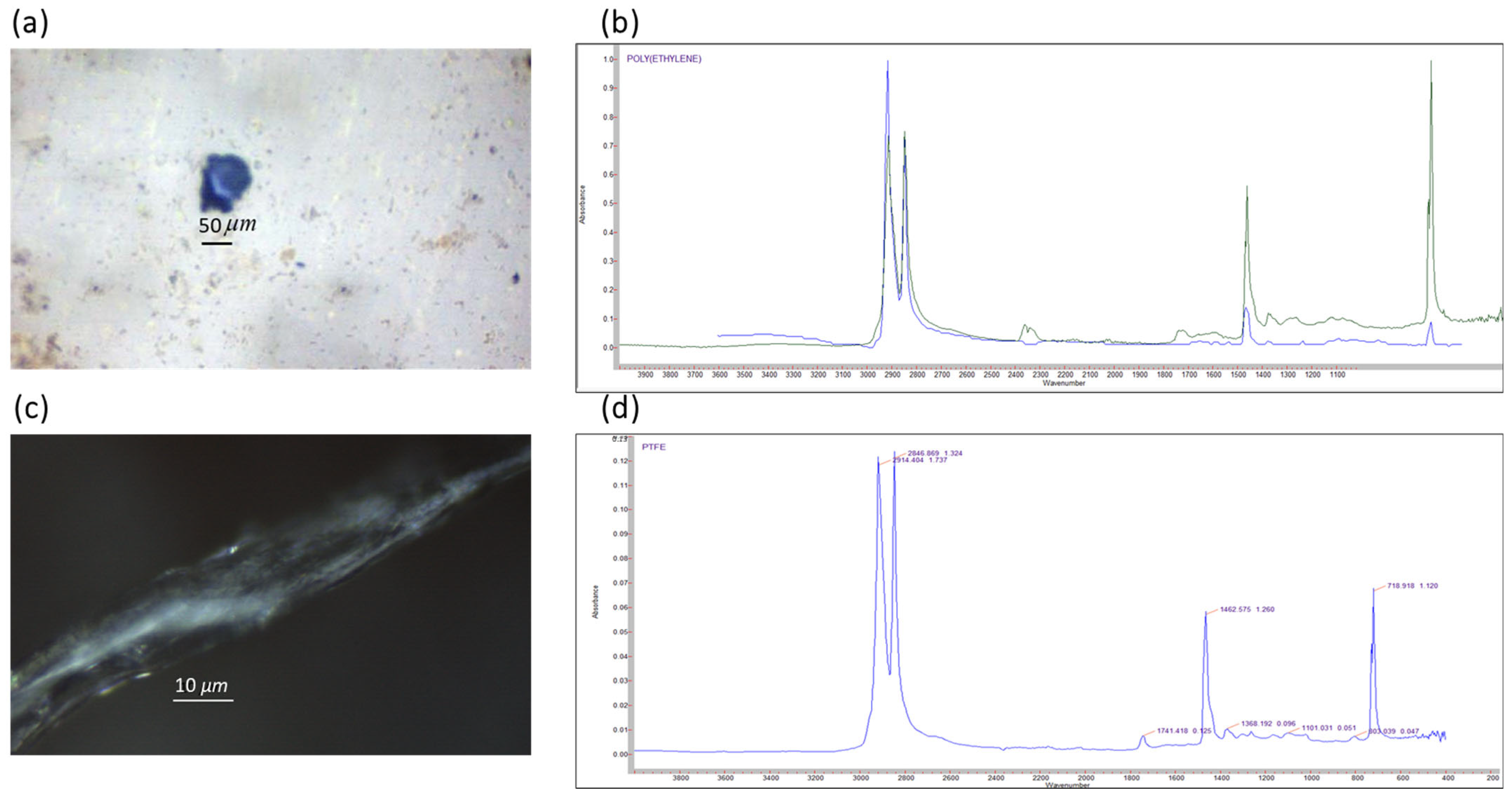 Microplastics 04 00065 g002 Microplastics 04 00065 g002
