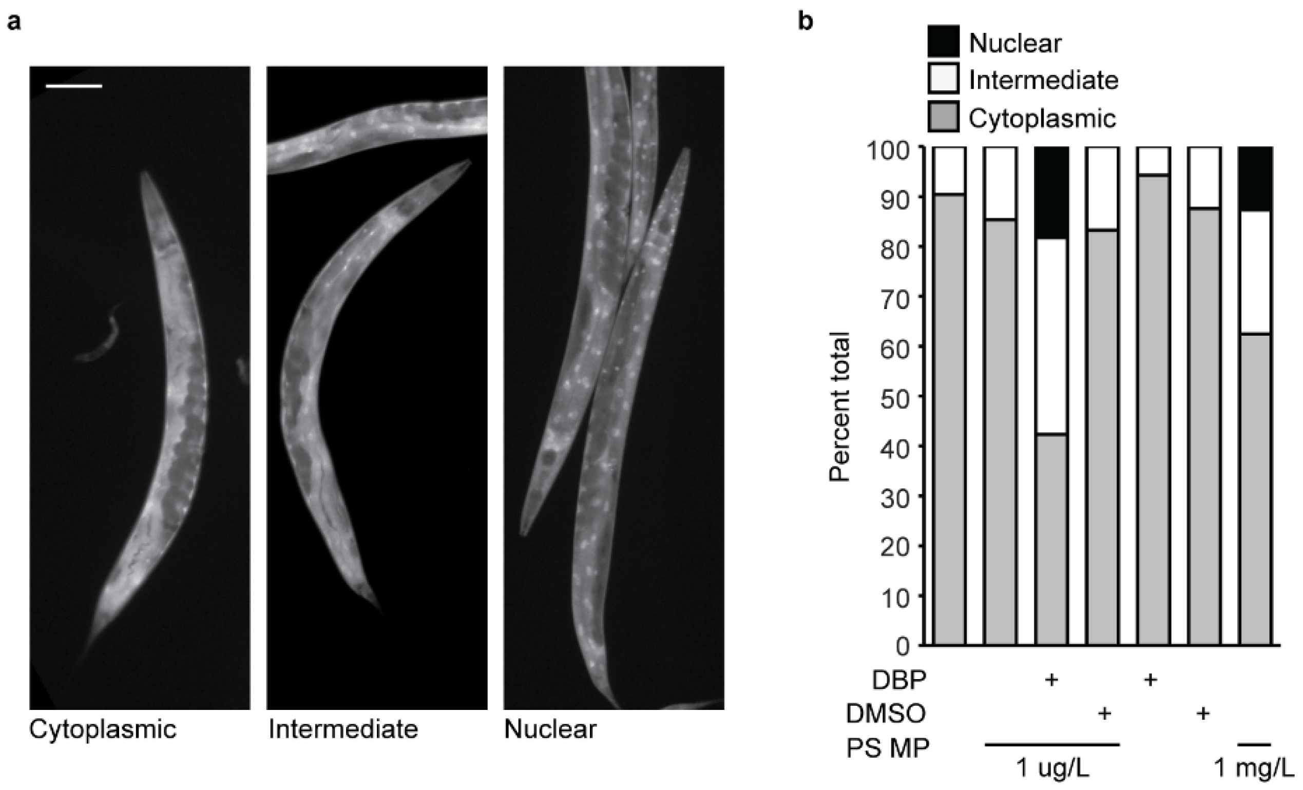 Microplastics 04 00096 g005