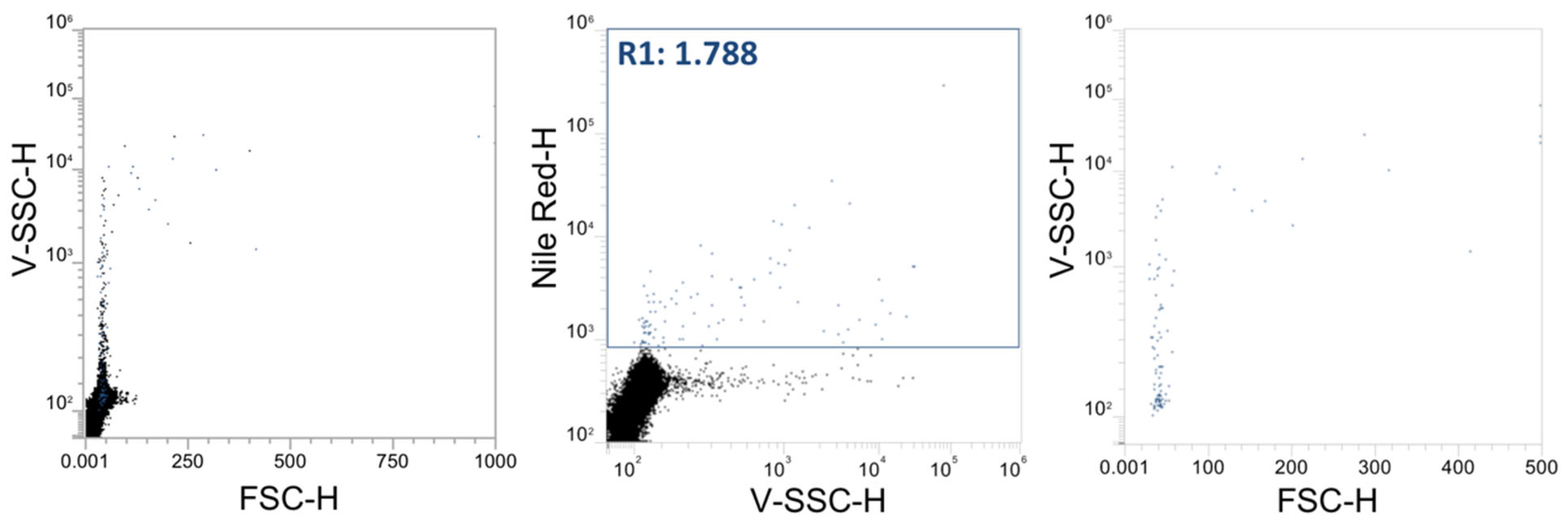 Microplastics 04 00108 g003 Microplastics 04 00108 g003