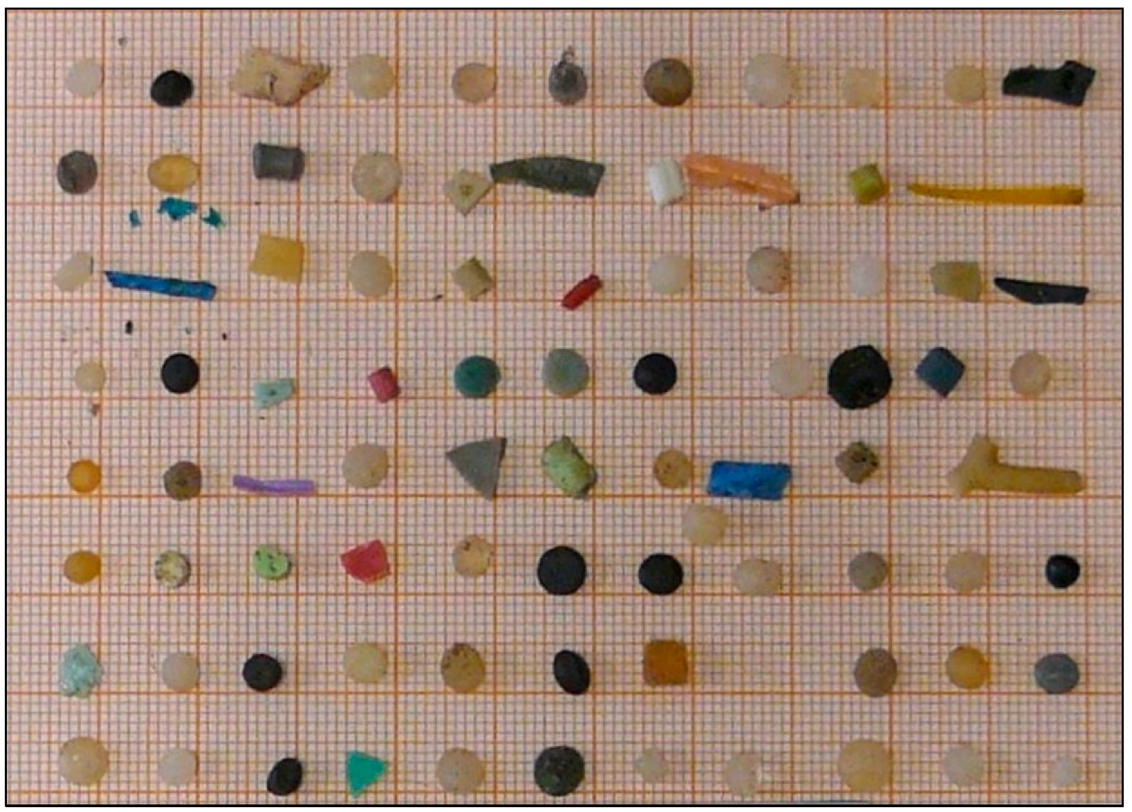Microplastics 05 00015 g002