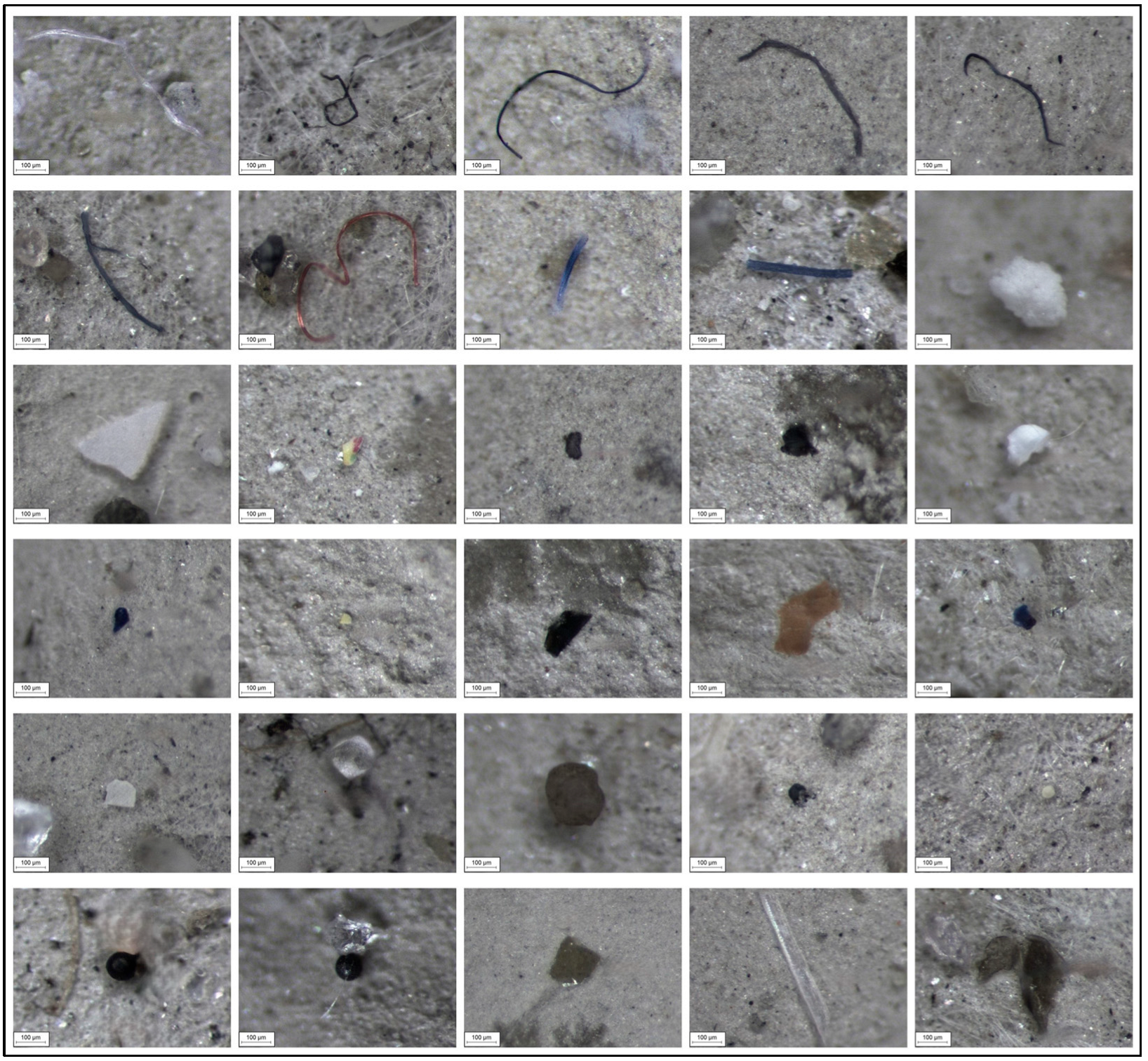 Microplastics 05 00015 g003