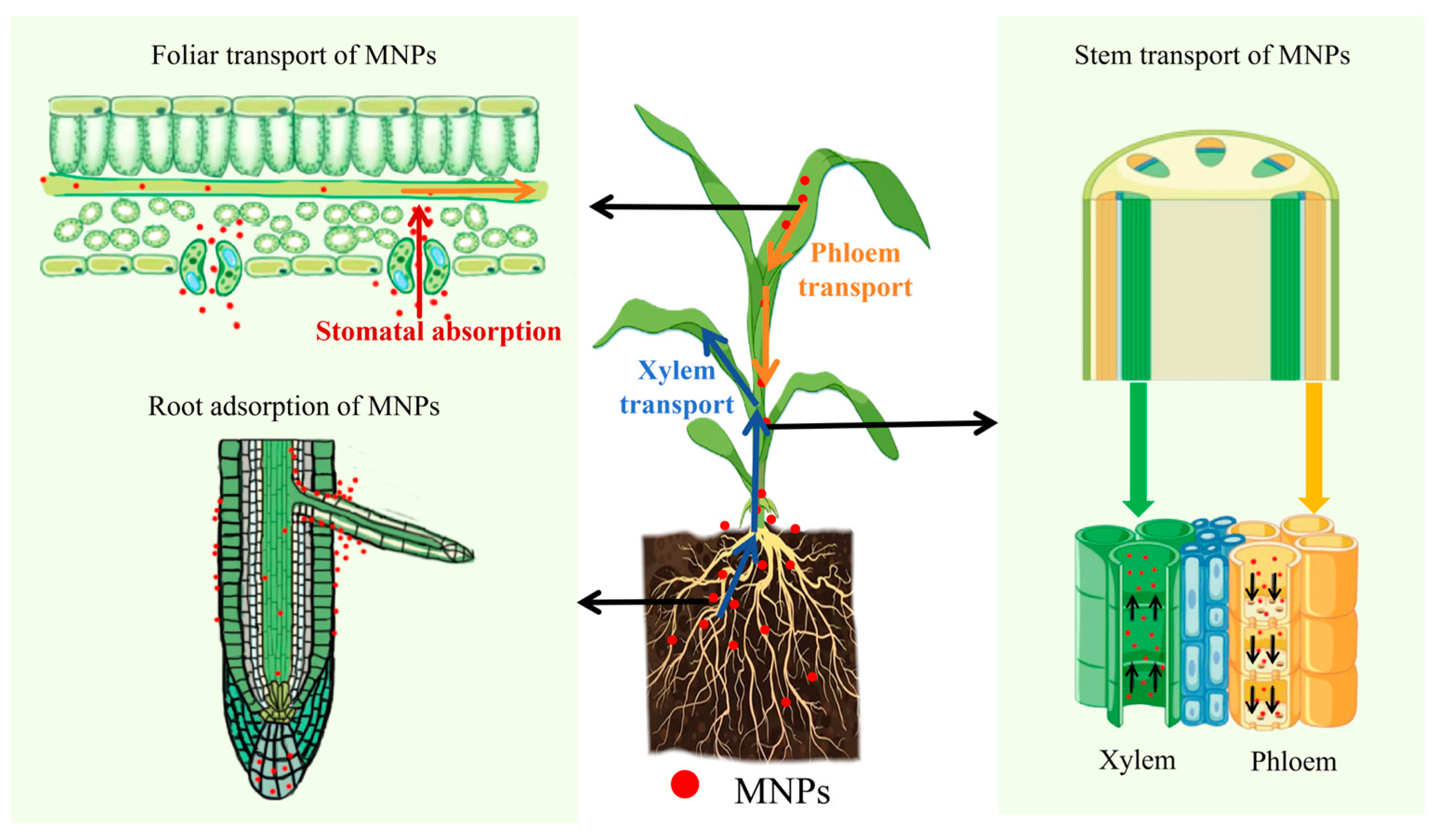 Microplastics 05 00022 g002