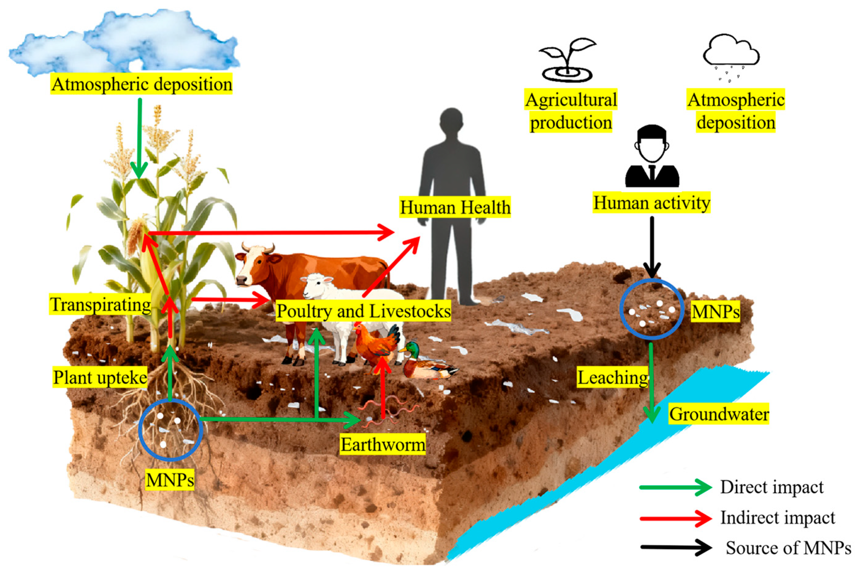 Microplastics 05 00022 g003
