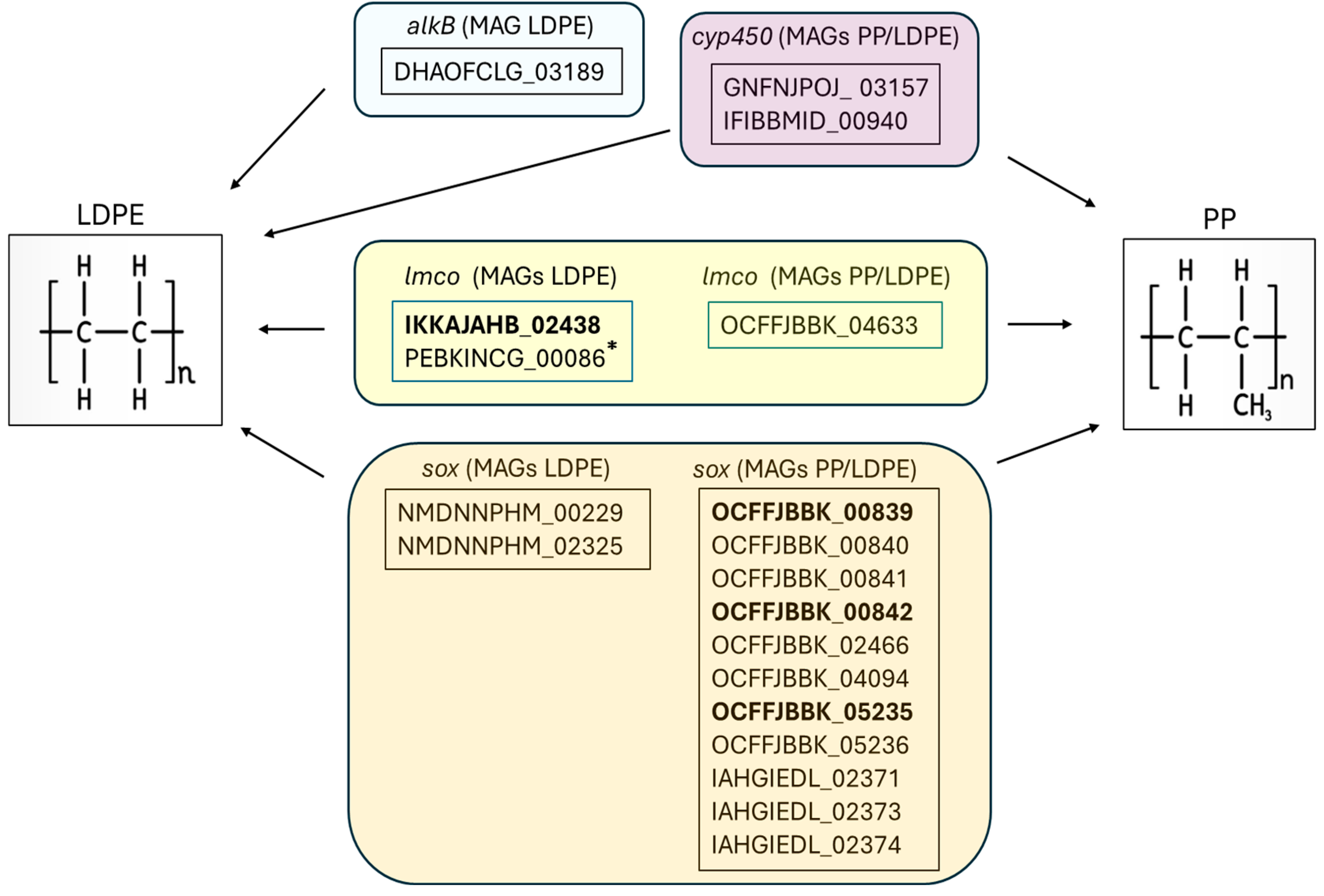Microplastics 05 00032 g007