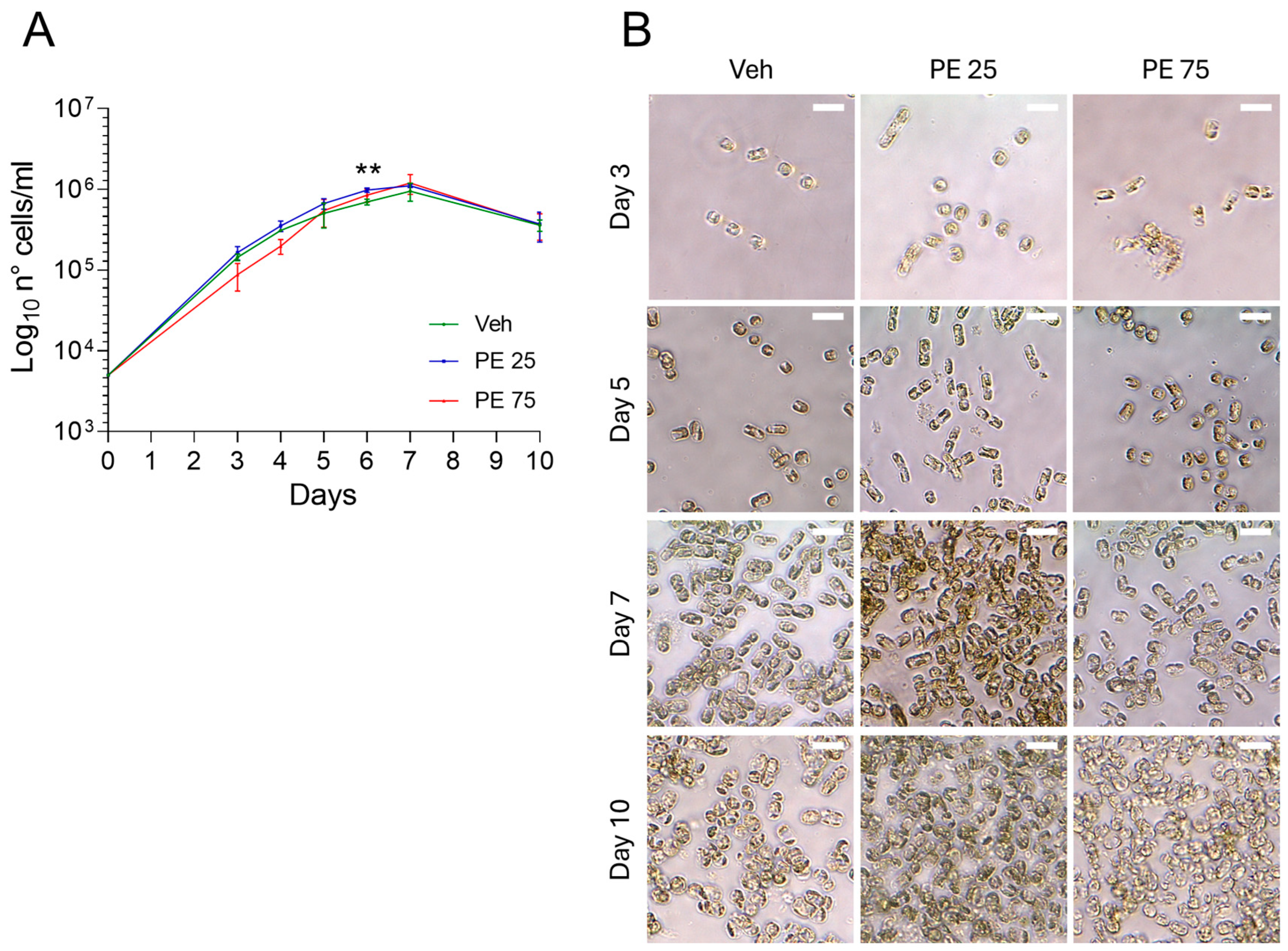 Microplastics 05 00033 g001 Microplastics 05 00033 g001
