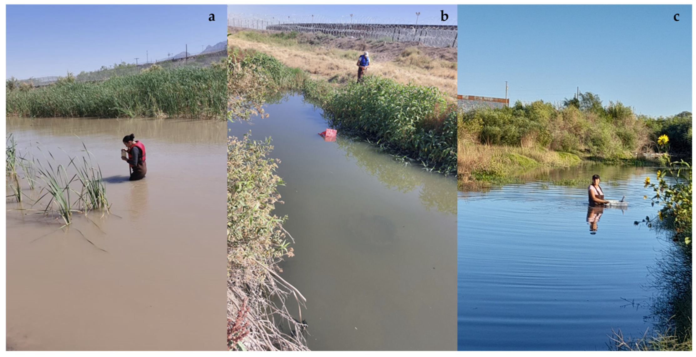 Microplastics 05 00034 g012