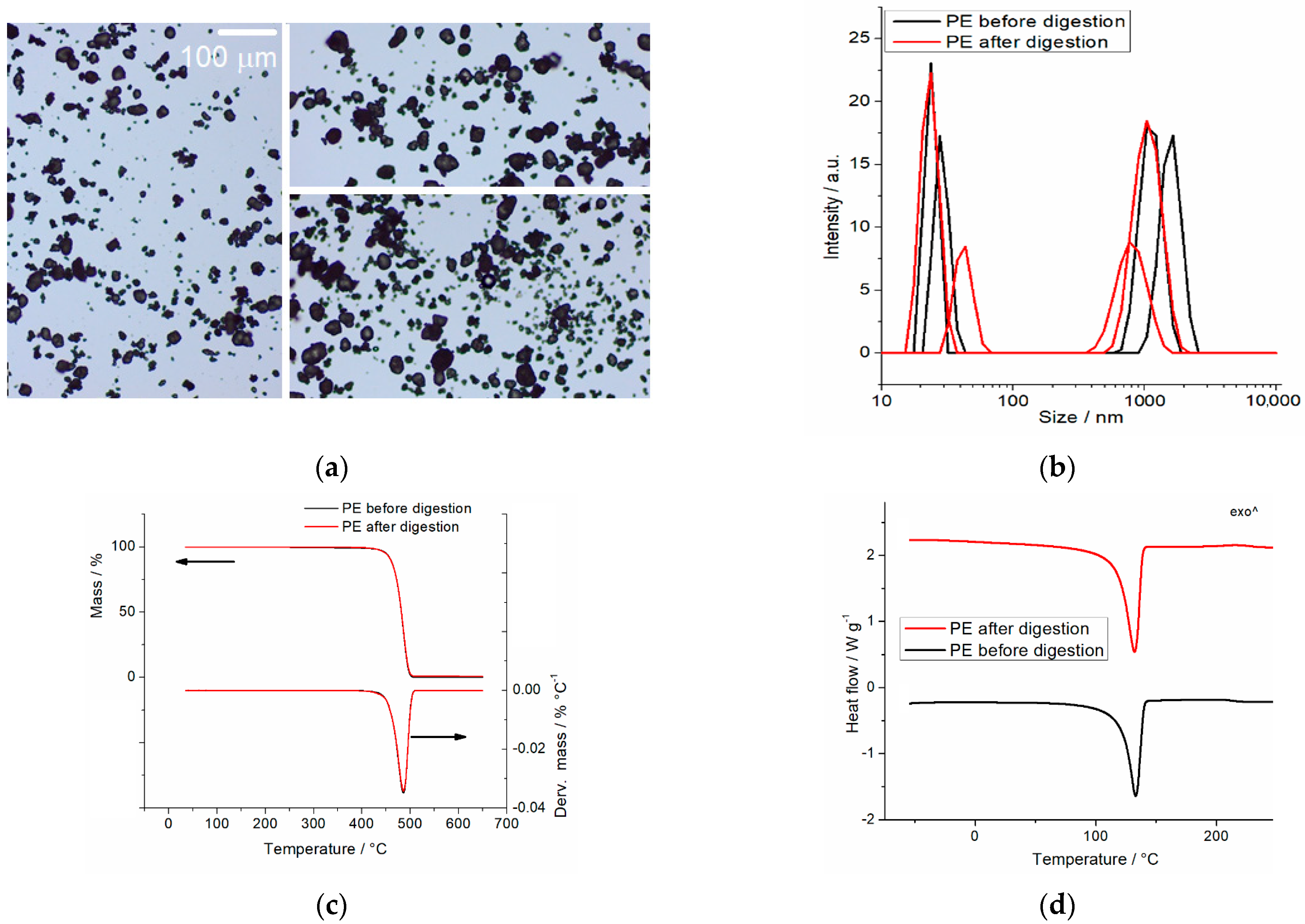 Microplastics 05 00045 g005 Microplastics 05 00045 g005