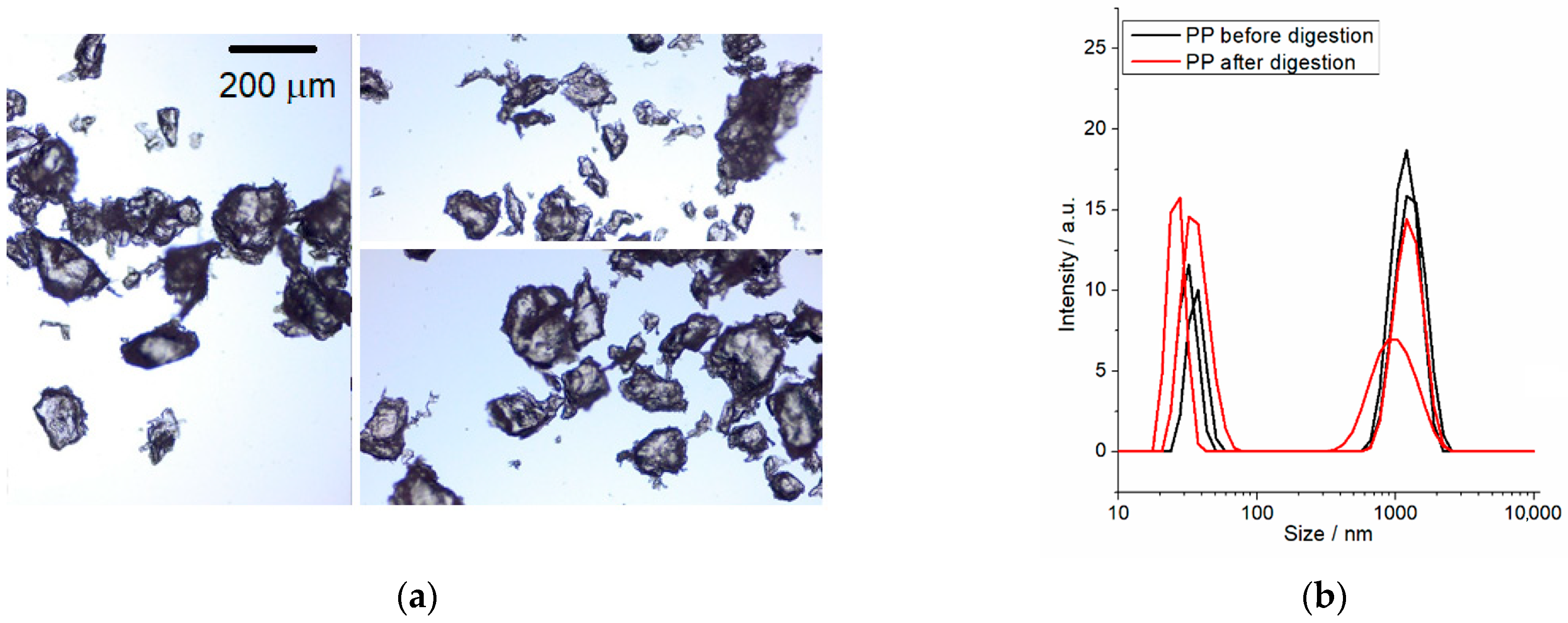 Microplastics 05 00045 g006a Microplastics 05 00045 g006a