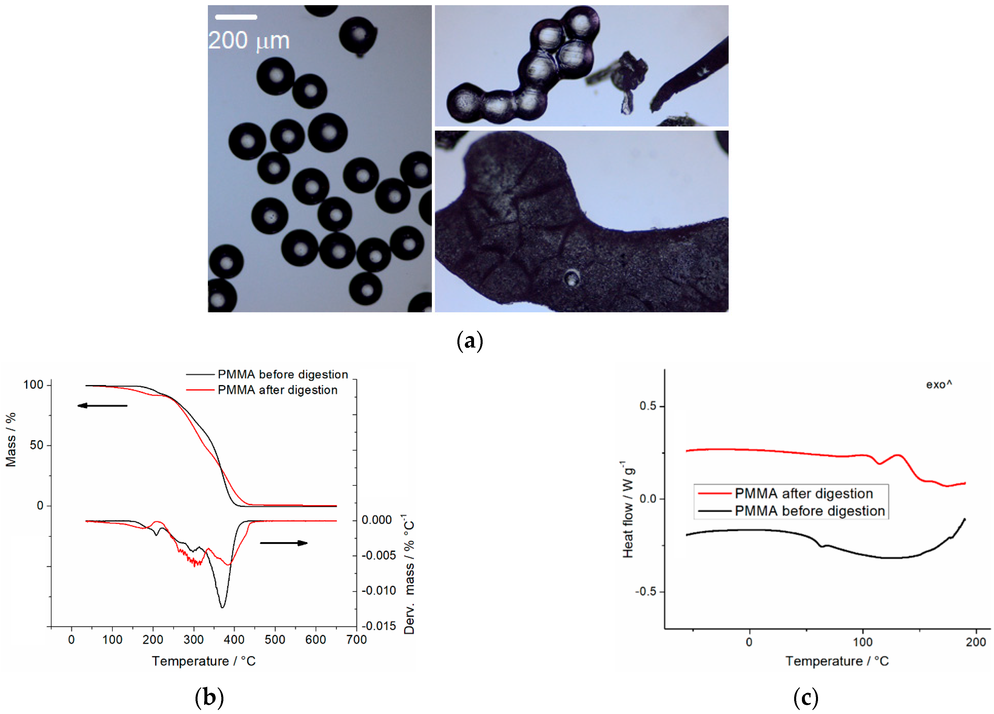 Microplastics 05 00045 g008 Microplastics 05 00045 g008