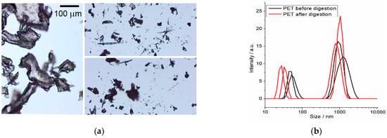 Microplastics 05 00045 g009a Microplastics 05 00045 g009a