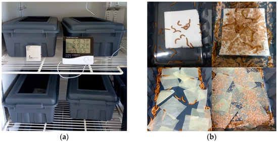 Microplastics 05 00055 g0a1